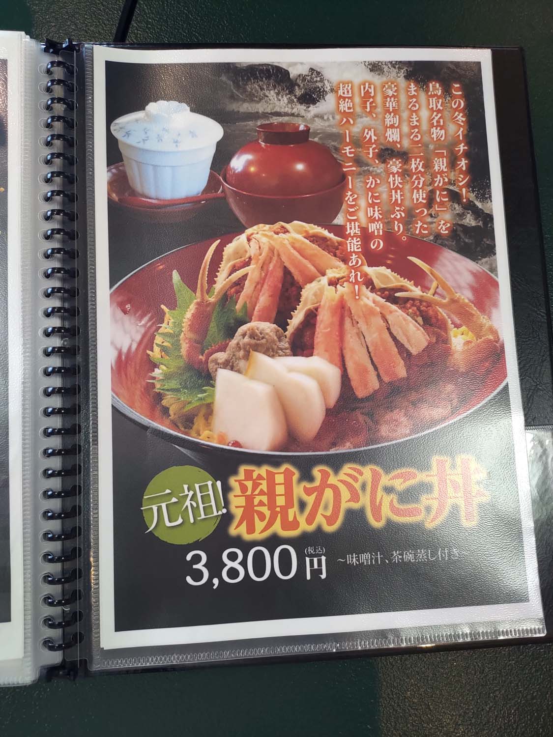 鳥取餐廳|賀露市場吃海鮮逛市場海陽亭套餐 ちよ志 (Chiyoshi)超高CP值烏龍麵多款炸物 在地人吃飯日常鳥取美食 鳥取自由行 - 第8張圖 鳥取餐廳|賀露市場吃海鮮逛市場海陽亭套餐 ちよ志 (Chiyoshi)超高CP值烏龍麵多款炸物 在地人吃飯日常鳥取美食 鳥取自由行