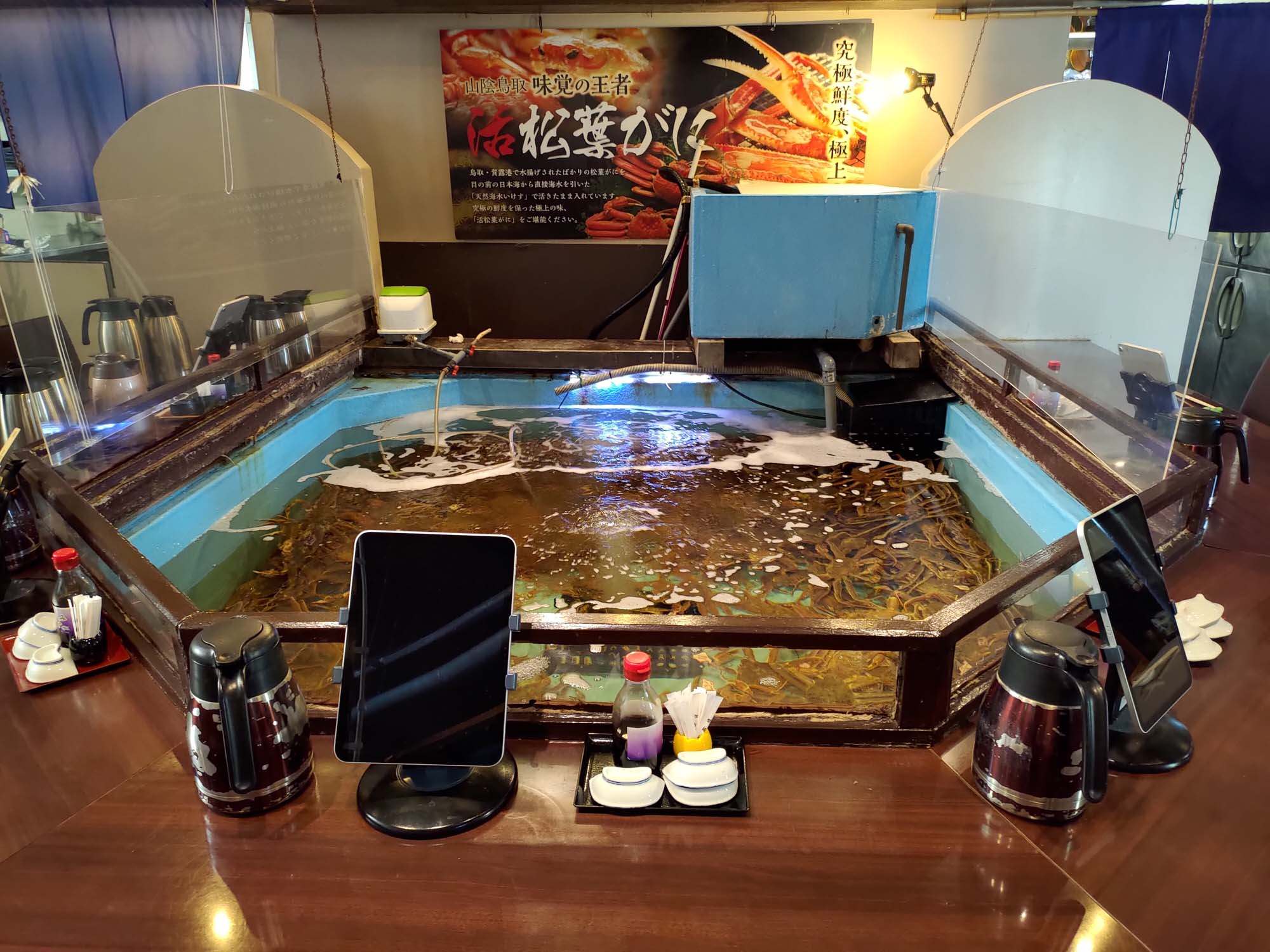 鳥取餐廳|賀露市場吃海鮮逛市場海陽亭套餐 ちよ志 (Chiyoshi)超高CP值烏龍麵多款炸物 在地人吃飯日常鳥取美食 鳥取自由行 - 第4張圖 鳥取餐廳|賀露市場吃海鮮逛市場海陽亭套餐 ちよ志 (Chiyoshi)超高CP值烏龍麵多款炸物 在地人吃飯日常鳥取美食 鳥取自由行