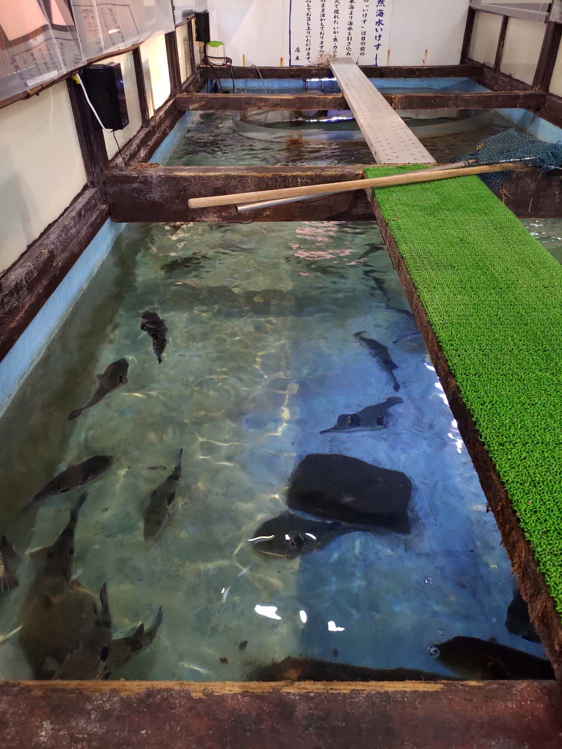 鳥取餐廳|賀露市場吃海鮮逛市場海陽亭套餐 ちよ志 (Chiyoshi)超高CP值烏龍麵多款炸物 在地人吃飯日常鳥取美食 鳥取自由行 - 第6張圖 鳥取餐廳|賀露市場吃海鮮逛市場海陽亭套餐 ちよ志 (Chiyoshi)超高CP值烏龍麵多款炸物 在地人吃飯日常鳥取美食 鳥取自由行