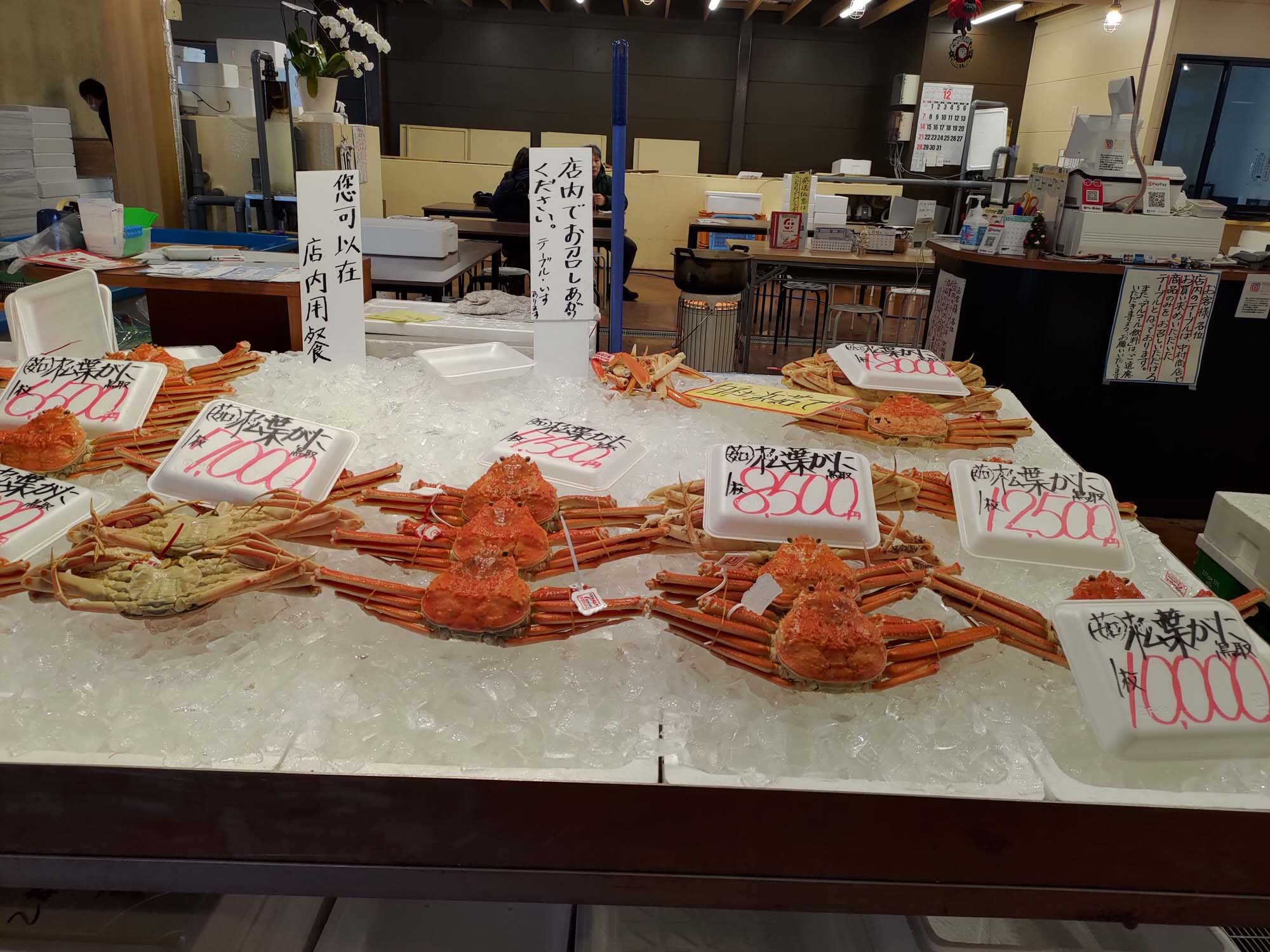 鳥取餐廳｜賀露市場「海陽亭」多款午餐 松葉蟹 白花枝 比目魚套餐吃很飽CP值超高 吃海鮮逛市場 鳥取在地人推薦 鳥取自駕