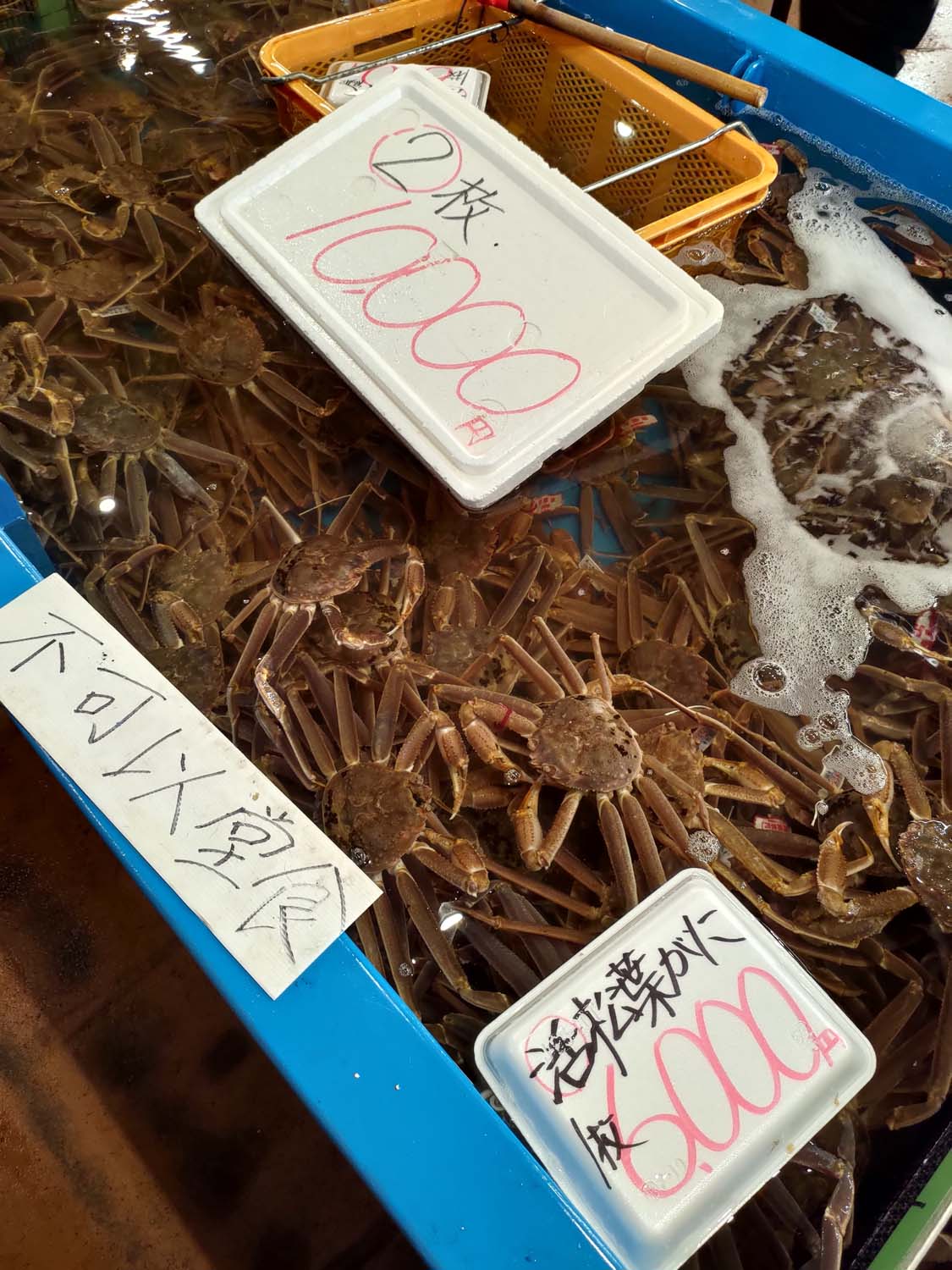 鳥取餐廳|賀露市場吃海鮮逛市場海陽亭套餐 ちよ志 (Chiyoshi)超高CP值烏龍麵多款炸物 在地人吃飯日常鳥取美食 鳥取自由行 - 第22張圖 鳥取餐廳|賀露市場吃海鮮逛市場海陽亭套餐 ちよ志 (Chiyoshi)超高CP值烏龍麵多款炸物 在地人吃飯日常鳥取美食 鳥取自由行