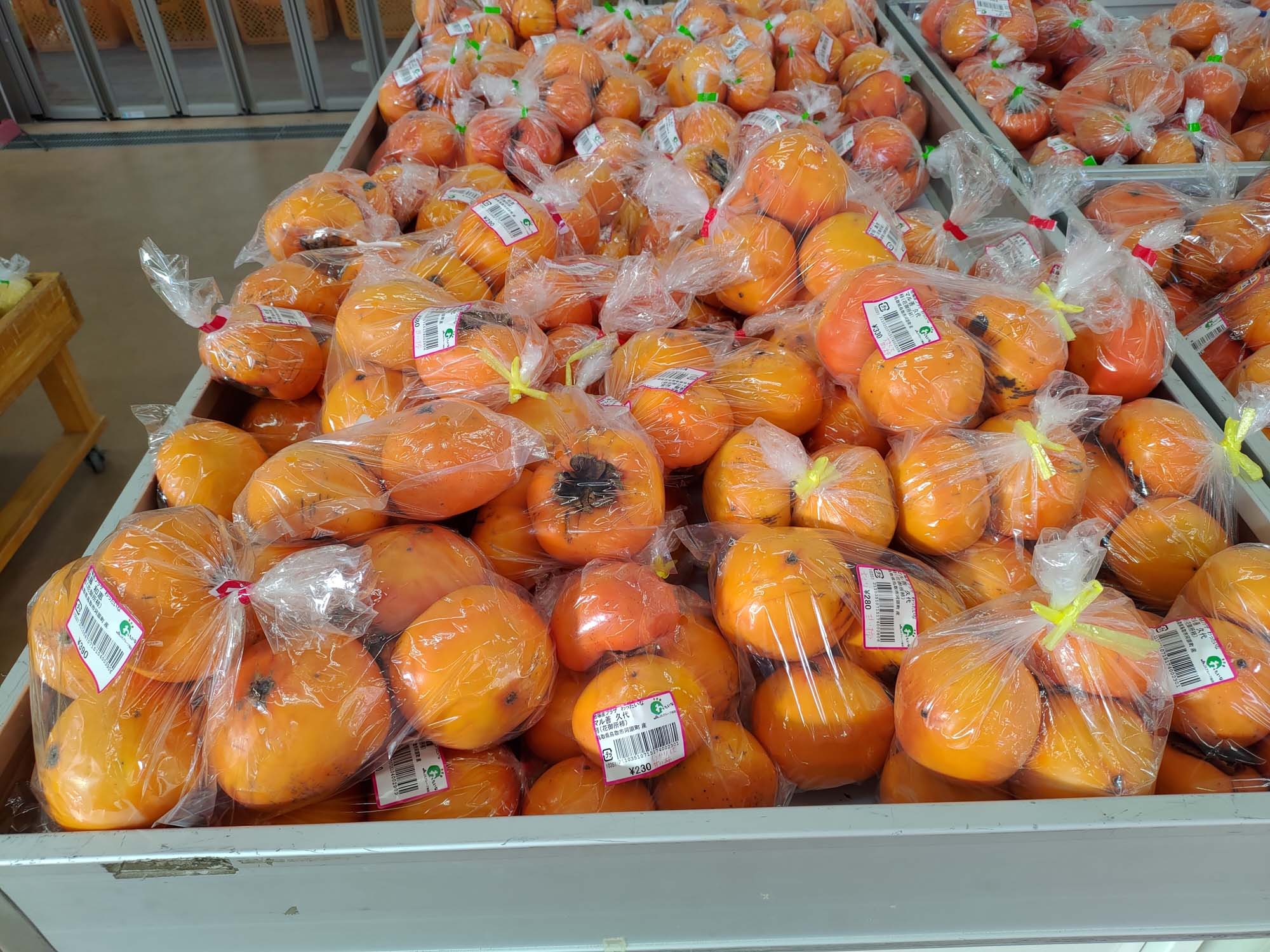 鳥取餐廳｜賀露市場「海陽亭」多款午餐 松葉蟹 白花枝 比目魚套餐吃很飽CP值超高 吃海鮮逛市場 鳥取在地人推薦 鳥取自駕