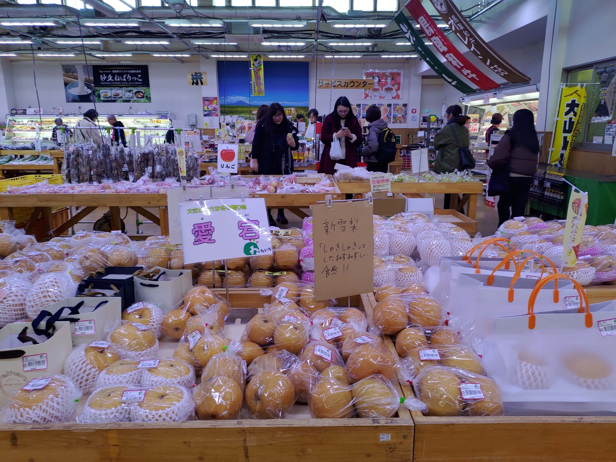 鳥取餐廳｜賀露市場「海陽亭」多款午餐 松葉蟹 白花枝 比目魚套餐吃很飽CP值超高 吃海鮮逛市場 鳥取在地人推薦 鳥取自駕