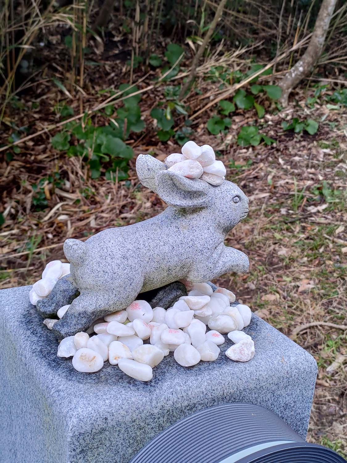 鳥取景點咖啡┃七訪結緣白兔神社參拜 步行1分AOAKUA咖啡文青風 放空看海吃生甜甜圈 鳥取市自由行