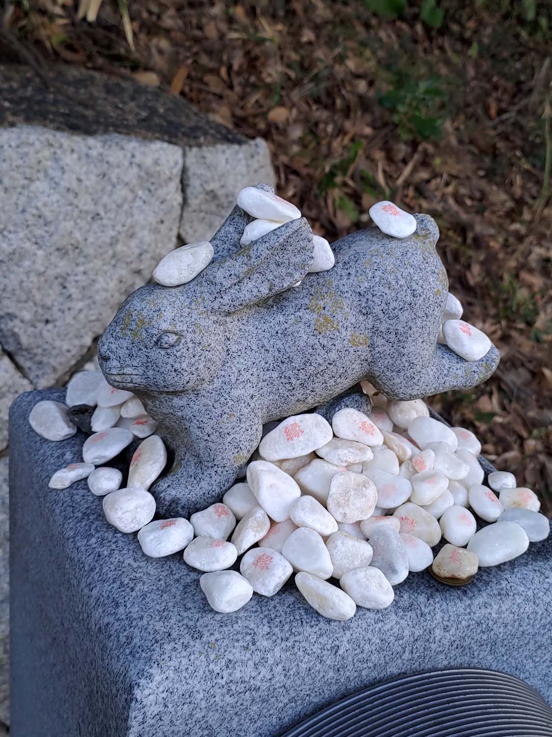 鳥取景點咖啡┃七訪結緣白兔神社參拜 步行1分AOAKUA咖啡文青風 放空看海吃生甜甜圈 鳥取市自由行