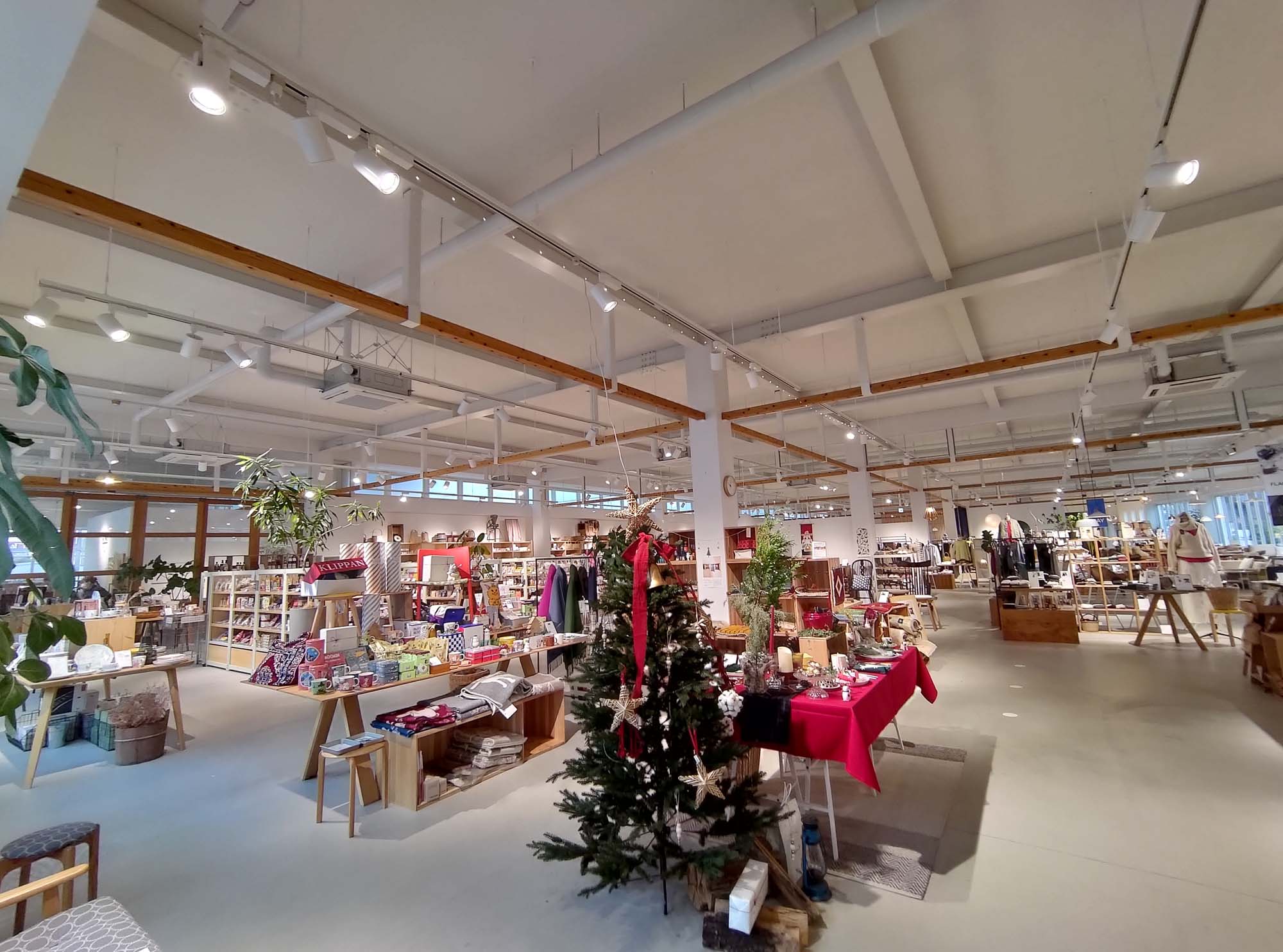 鳥取購物┃Am’s質感生活服飾鞋子居家廚房客廳用品 2023開幕生活雜貨 超寬徜好逛 鳥取市自由行 鳥取站走13分