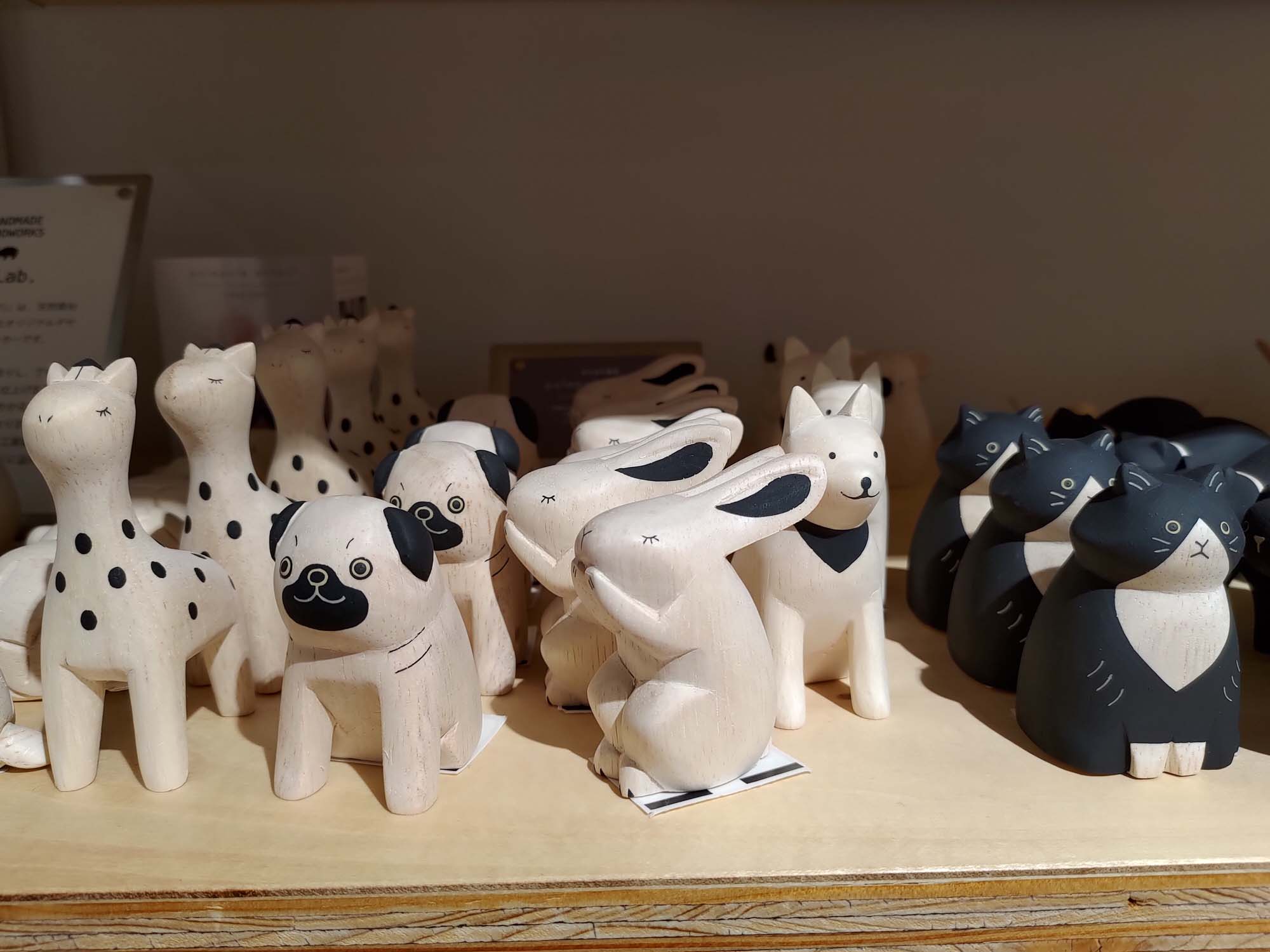 鳥取購物┃Am’s質感生活服飾鞋子居家廚房客廳用品 2023開幕生活雜貨 超寬徜好逛 鳥取市自由行 鳥取站走13分