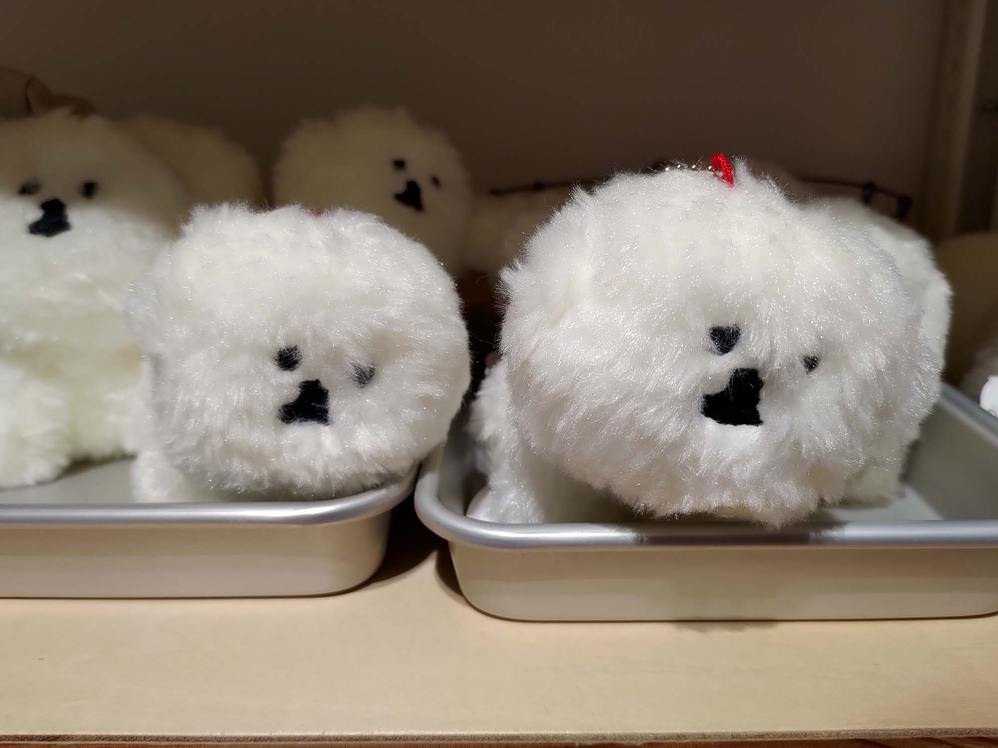 鳥取購物┃Am’s質感生活服飾鞋子居家廚房客廳用品 2023開幕生活雜貨 超寬徜好逛 鳥取市自由行 鳥取站走13分