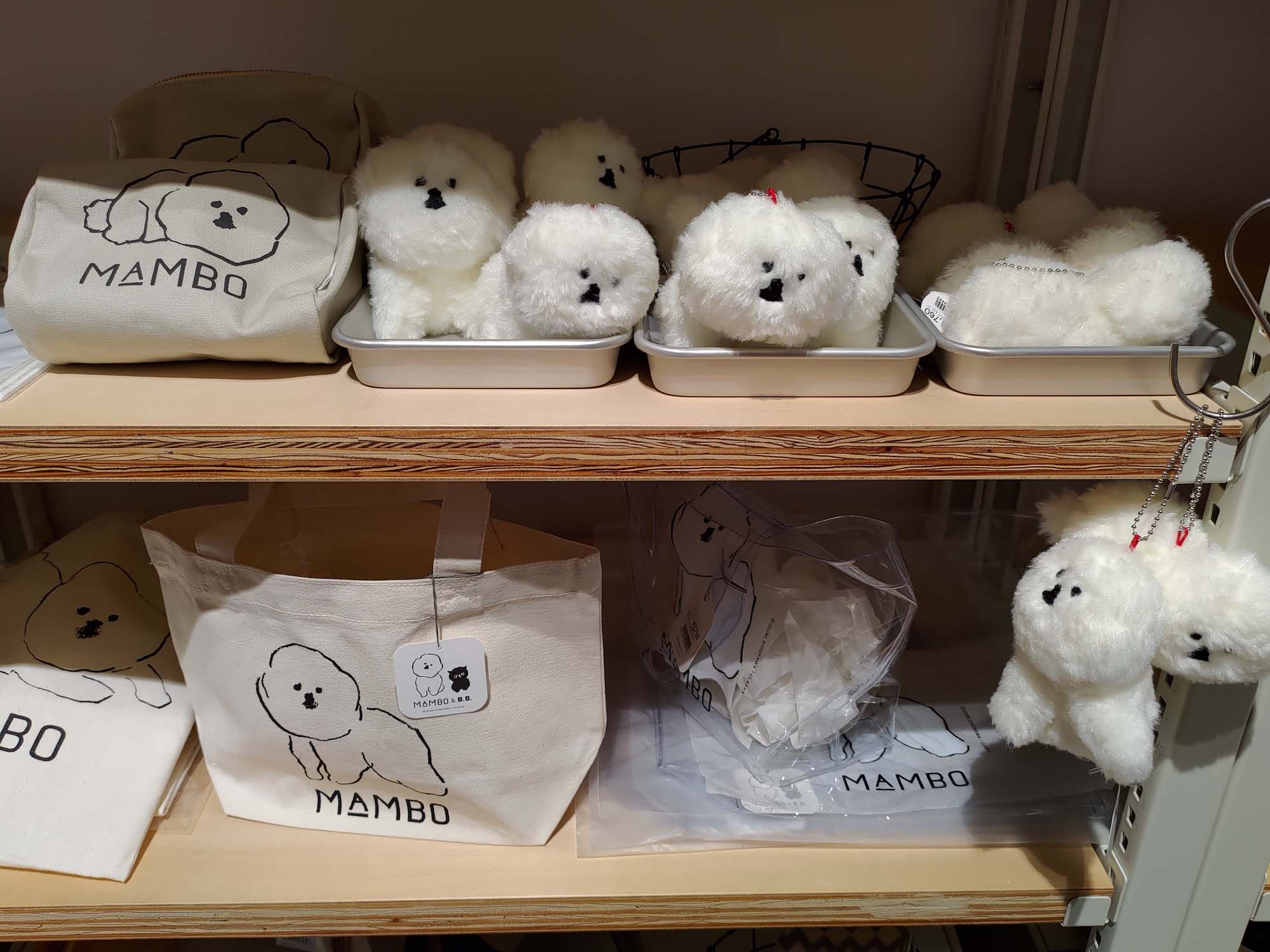 鳥取購物┃Am’s質感生活服飾鞋子居家廚房客廳用品 2023開幕生活雜貨 超寬徜好逛 鳥取市自由行 鳥取站走13分