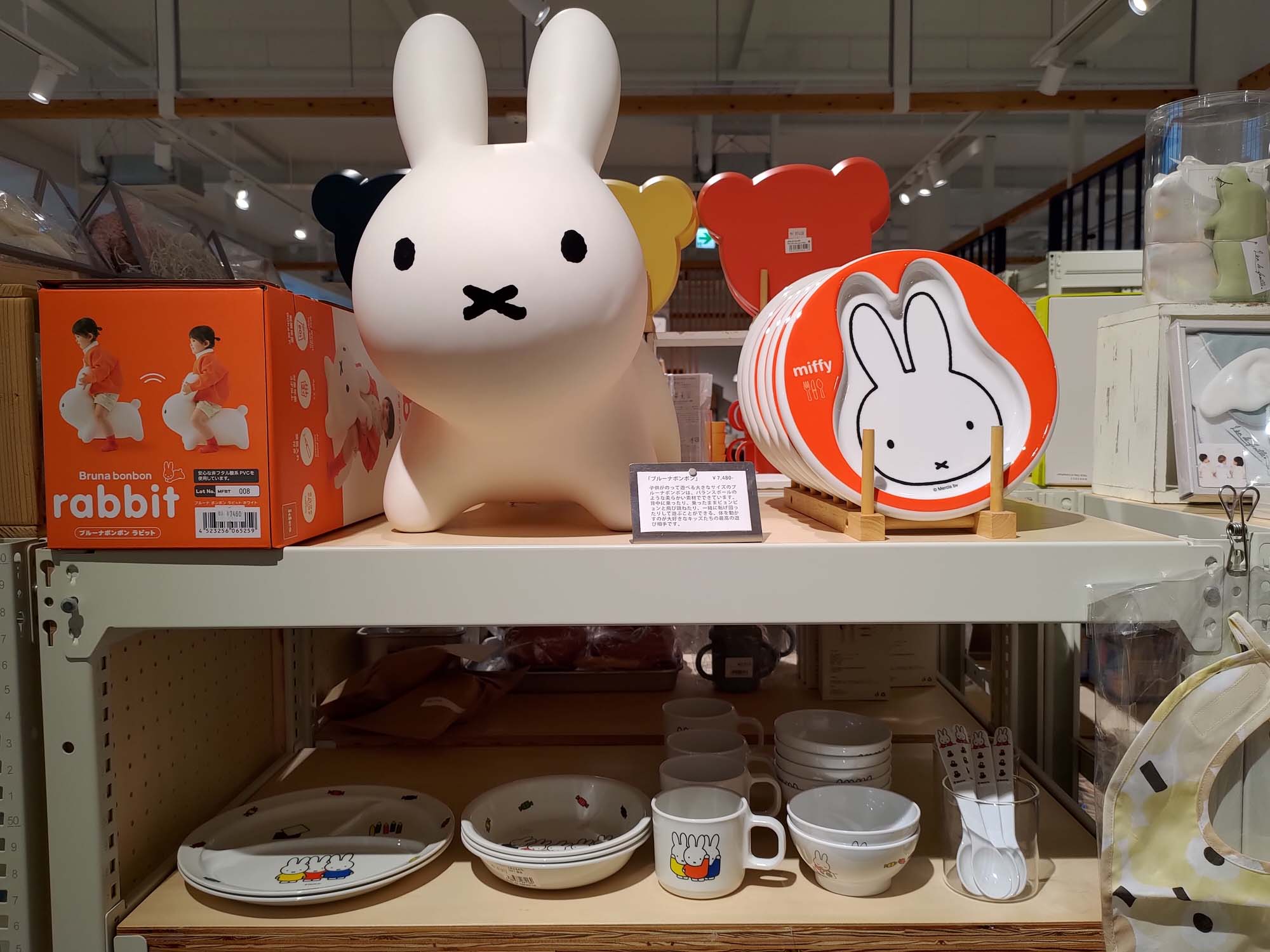 鳥取購物┃Am’s質感生活服飾鞋子居家廚房客廳用品 2023開幕生活雜貨 超寬徜好逛 鳥取市自由行 鳥取站走13分