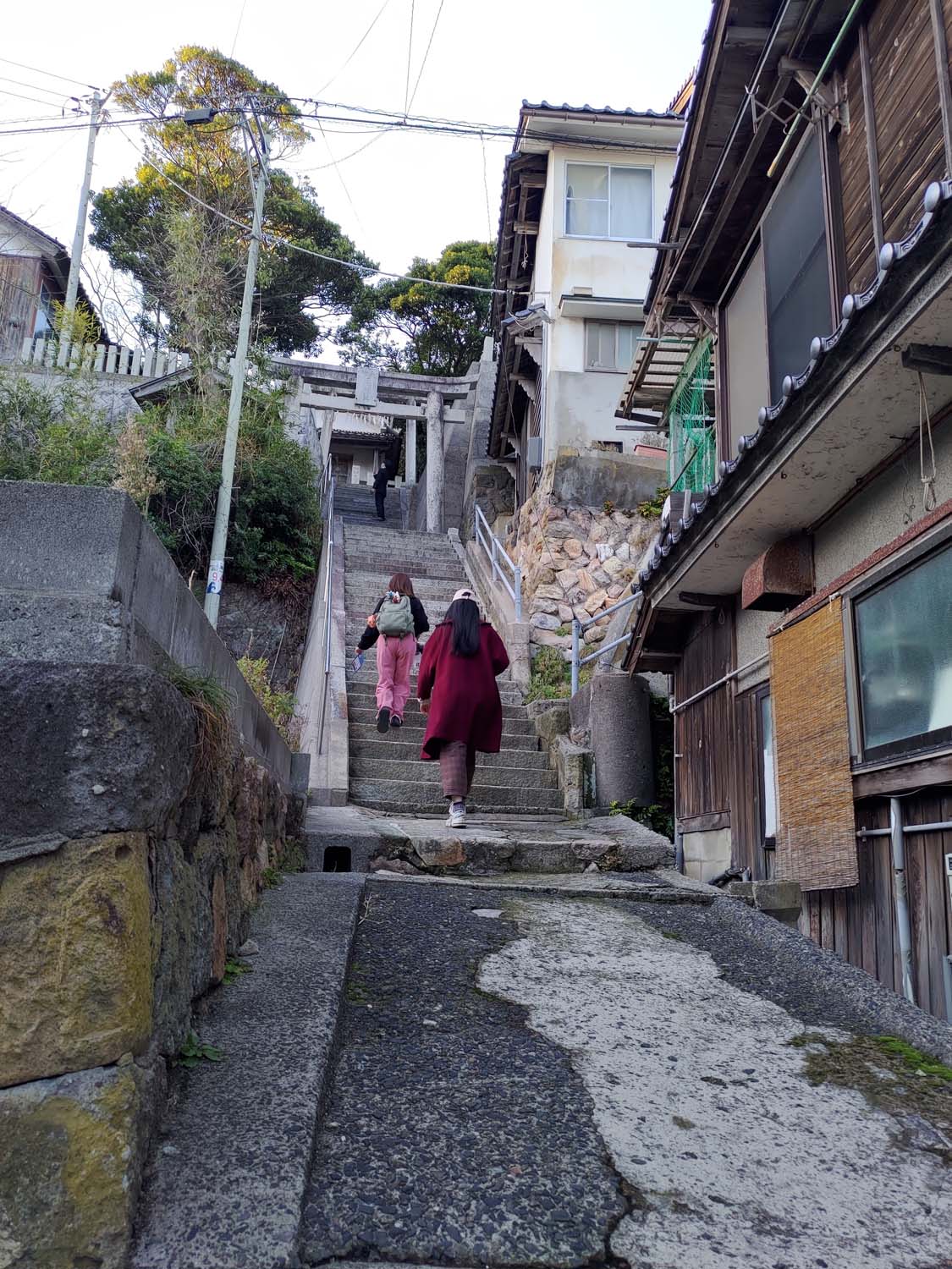 2026鳥取自由行必看┃4000日幣包台計程車3小時！申請流程23條路線 外國人專屬優惠 岩美町《Free!》動漫聖地追起來 鳥取計程車