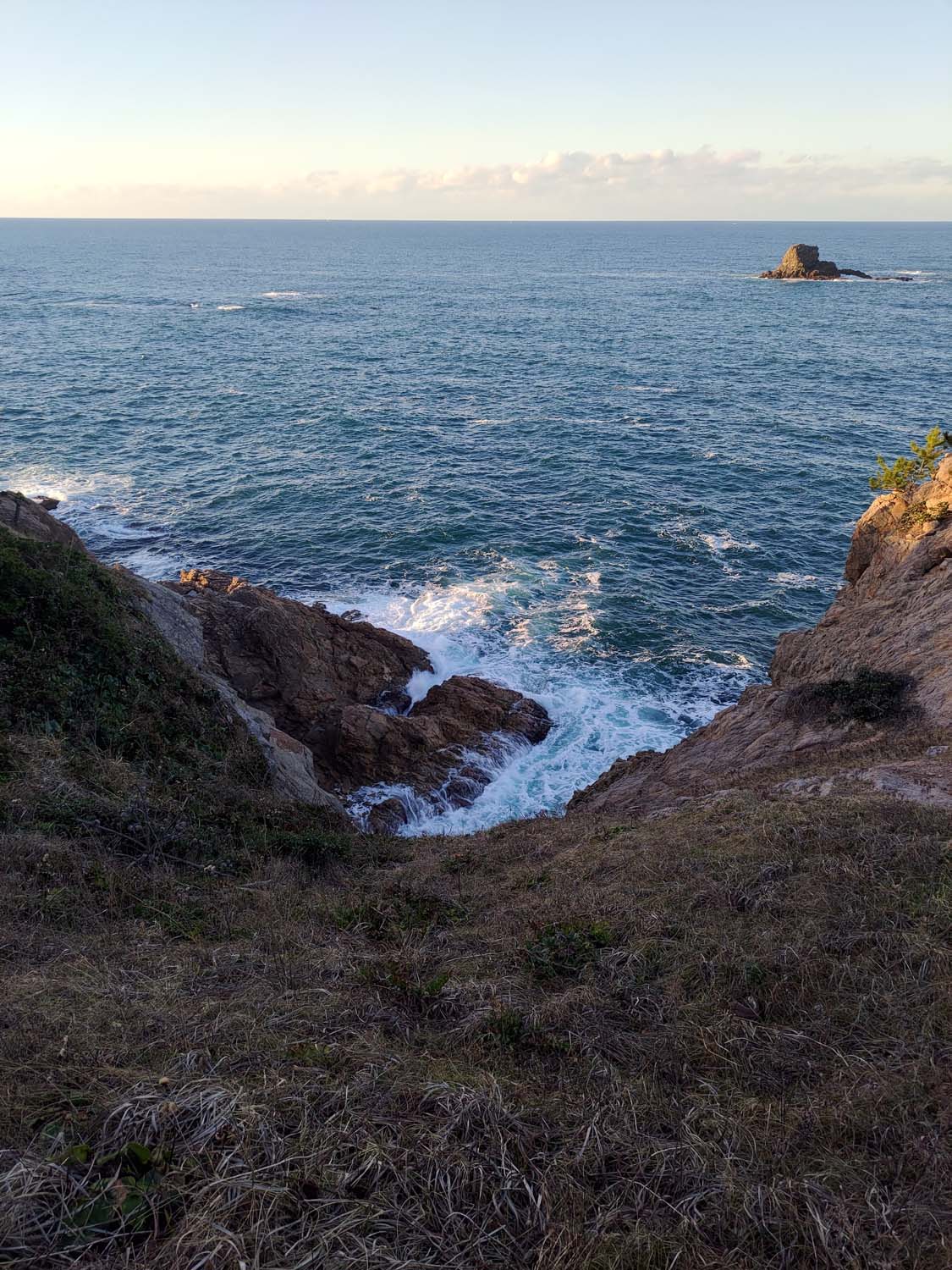 2026鳥取自由行必看┃4000日幣包台計程車3小時！申請流程23條路線 外國人專屬優惠 岩美町《Free!》動漫聖地追起來 鳥取計程車