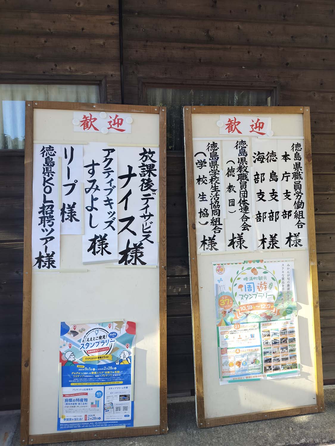 德島秋冬自駕採果┃市區40分車程勝浦町「Pilot松下園」採橘子採脆柿吃到飽超好拍 順遊阿南招財貓神社祈求萬隻貓神必勝開運！