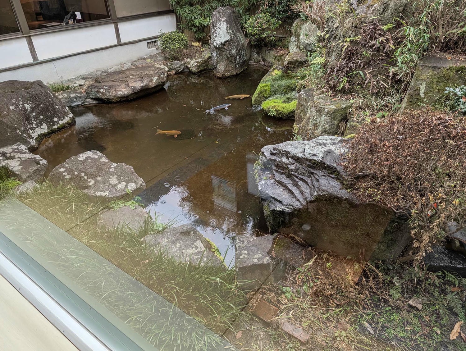 熊本市美食┃鰻魚德永(うなぎの徳永北部)大正百年老店鰻魚飯 傳統蒸烤雙絕 親子丼薑燒豬多樣菜色 中文線上預約 市區開車半小時 - 第9張圖 熊本市美食┃鰻魚德永(うなぎの徳永北部)大正百年老店鰻魚飯 傳統蒸烤雙絕 親子丼薑燒豬多樣菜色 中文線上預約 市區開車半小時