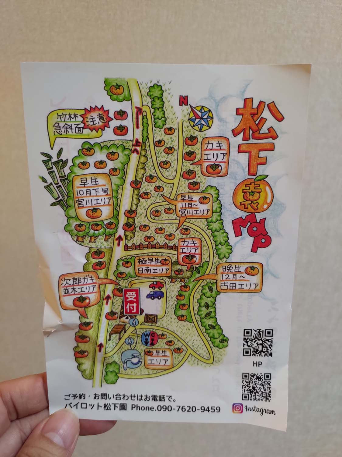 德島秋冬自駕採果┃市區40分車程勝浦町「Pilot松下園」採橘子採脆柿吃到飽超好拍 順遊阿南招財貓神社祈求萬隻貓神必勝開運！