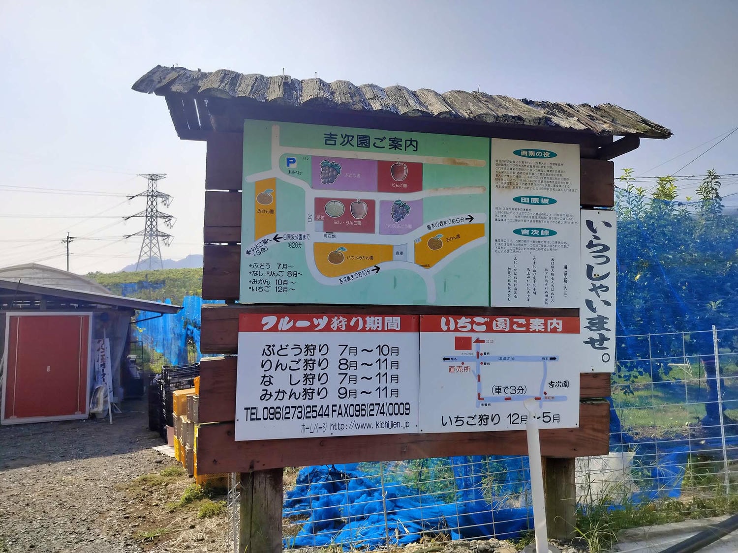 熊本市採果推薦┃吉次園一年四季採果體驗 草莓六品種吃到飽 葡萄蘋果梨子橘子 咖啡店有布丁水果聖代 自駕/熊本自由行