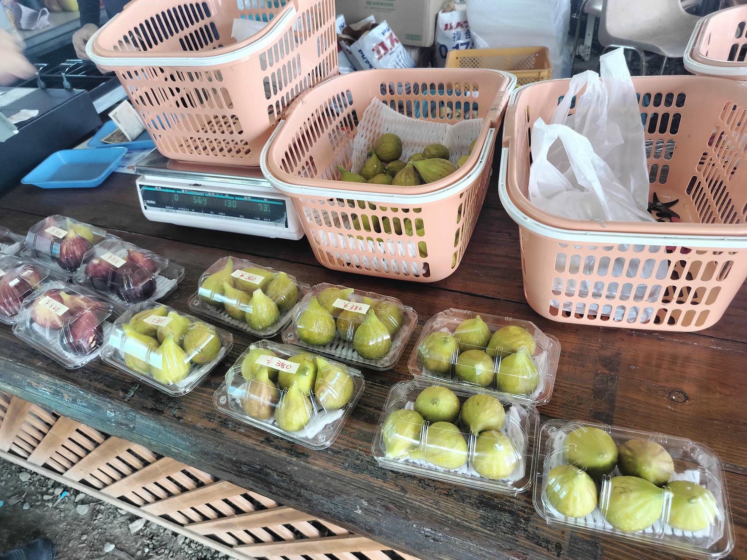 熊本市採果推薦┃吉次園一年四季採果體驗 草莓六品種吃到飽 葡萄蘋果梨子橘子 咖啡店有布丁水果聖代 自駕/熊本自由行