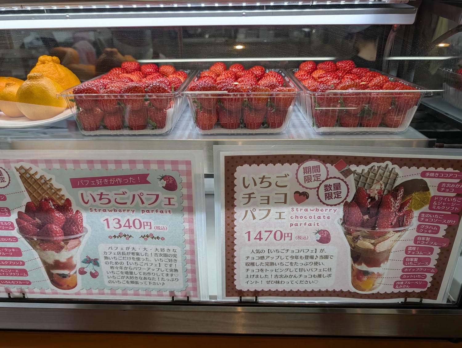 熊本市採果推薦┃吉次園一年四季採果體驗 草莓六品種吃到飽 葡萄蘋果梨子橘子 咖啡店有布丁水果聖代 自駕/熊本自由行