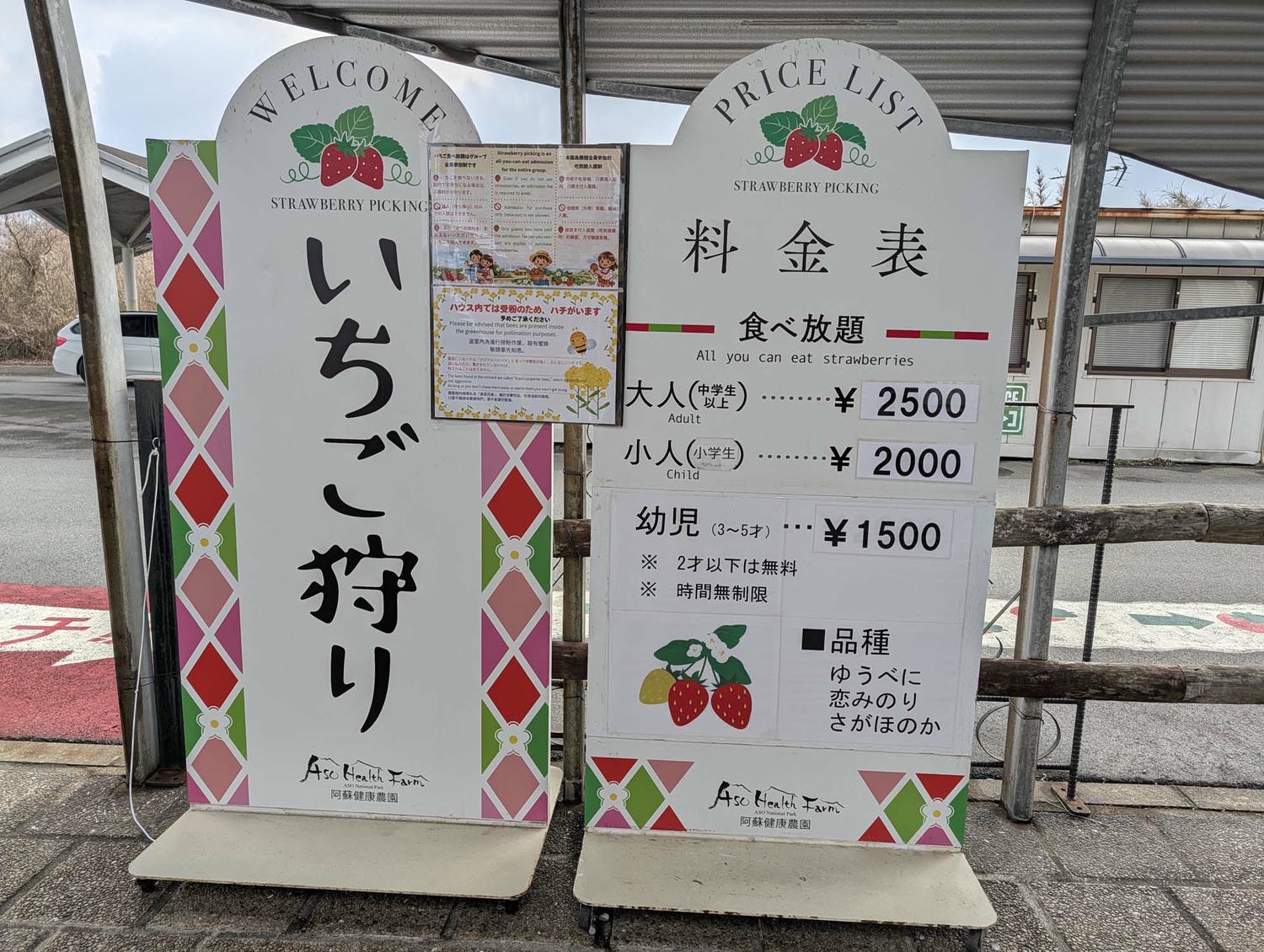 熊本阿蘇採果┃「阿蘇健康農園」採草莓！三段式親子友善採摘 無時間限制吃到飽 無障礙輪椅開心採 JR赤水站轉計程車 熊本自由行