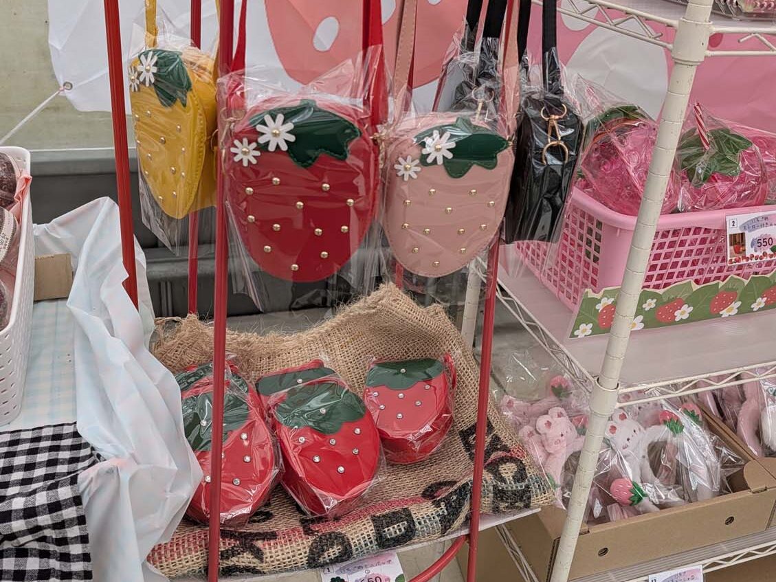 熊本阿蘇採果┃「阿蘇健康農園」採草莓！三段式親子友善採摘 無時間限制吃到飽 無障礙輪椅開心採 JR赤水站轉計程車 熊本自由行