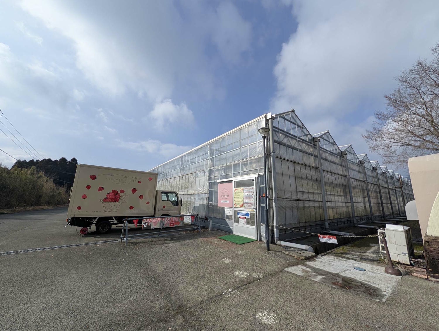 熊本阿蘇採果┃「阿蘇健康農園」採草莓！三段式親子友善採摘 無時間限制吃到飽 無障礙輪椅開心採 JR赤水站轉計程車 熊本自由行