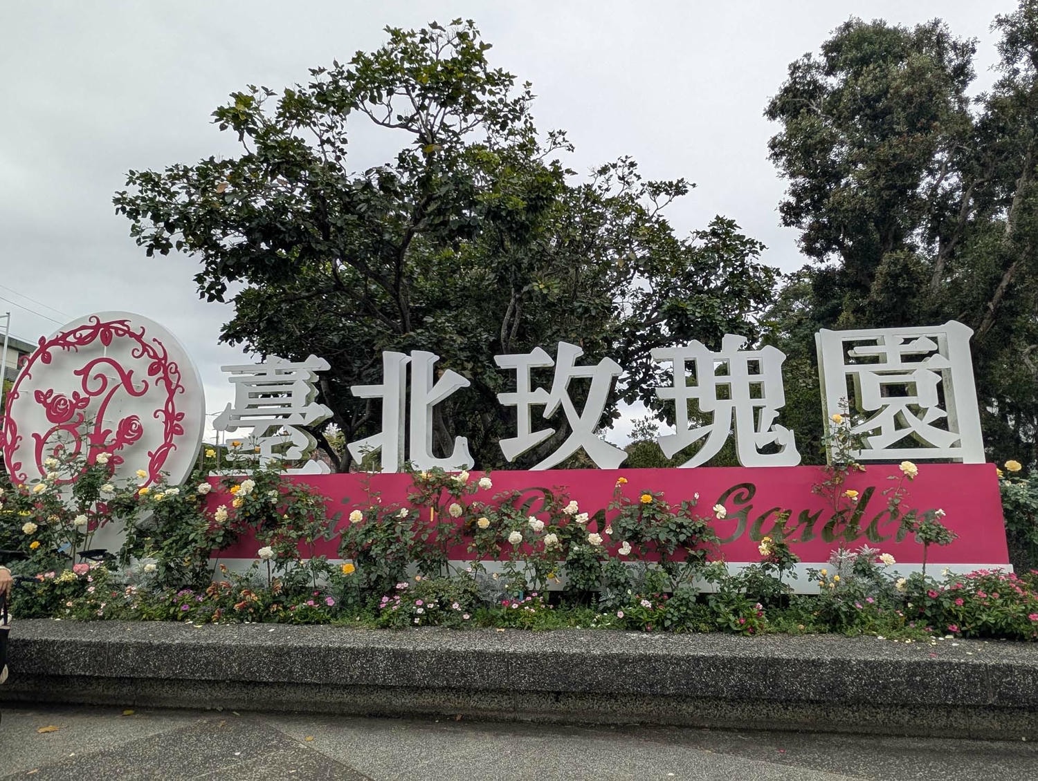 台北花季┃2026台北玫瑰展800 多品種 3/6-4/6花博新生園區 捷運圓山站 中山國小站 - 第3張圖 台北花季┃2026台北玫瑰展800 多品種 3/6-4/6花博新生園區 捷運圓山站 中山國小站