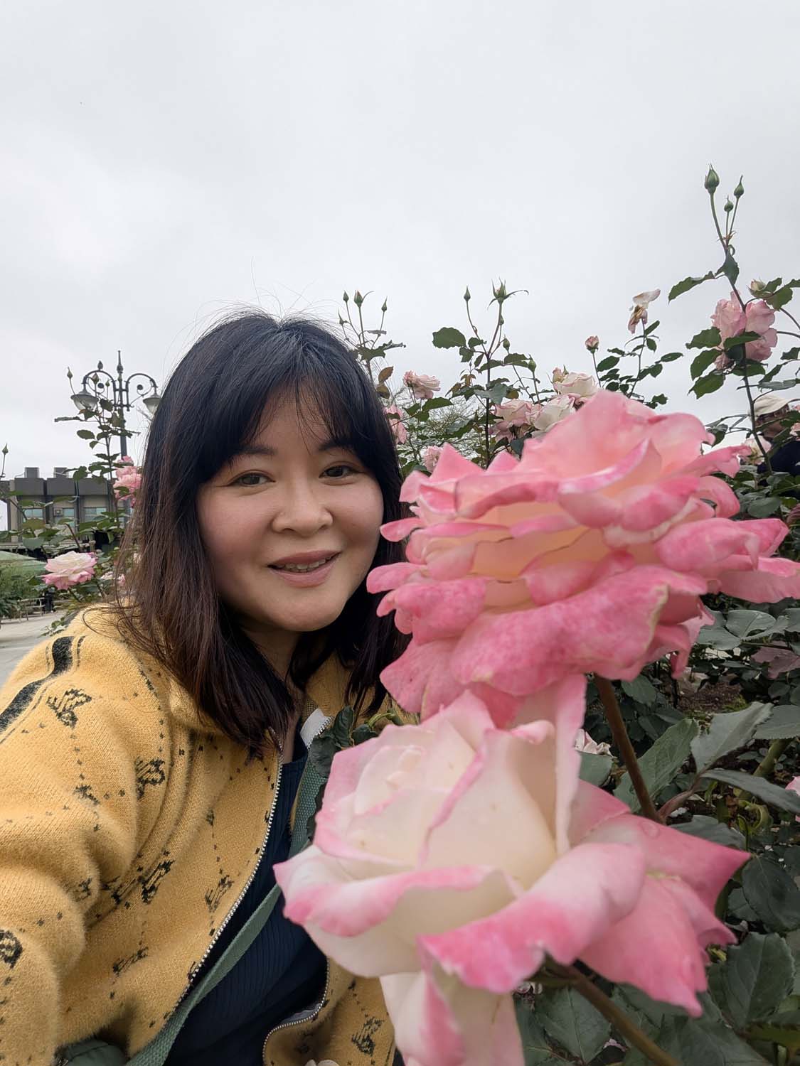 台北花季┃2026台北玫瑰展800 多品種 3/6-4/6花博新生園區 捷運圓山站 中山國小站 - 第20張圖 台北花季┃2026台北玫瑰展800 多品種 3/6-4/6花博新生園區 捷運圓山站 中山國小站