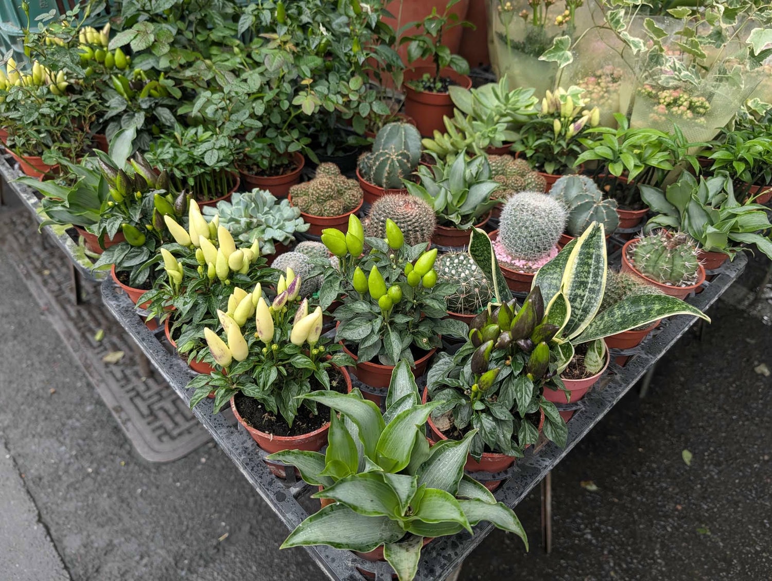新北瑞芳┃懷舊車站 瑞芳站美食廣場小吃龍鳳腿 瑞芳駅グルメ散策！絶品「双醤麺」と活気あふれる美食広場