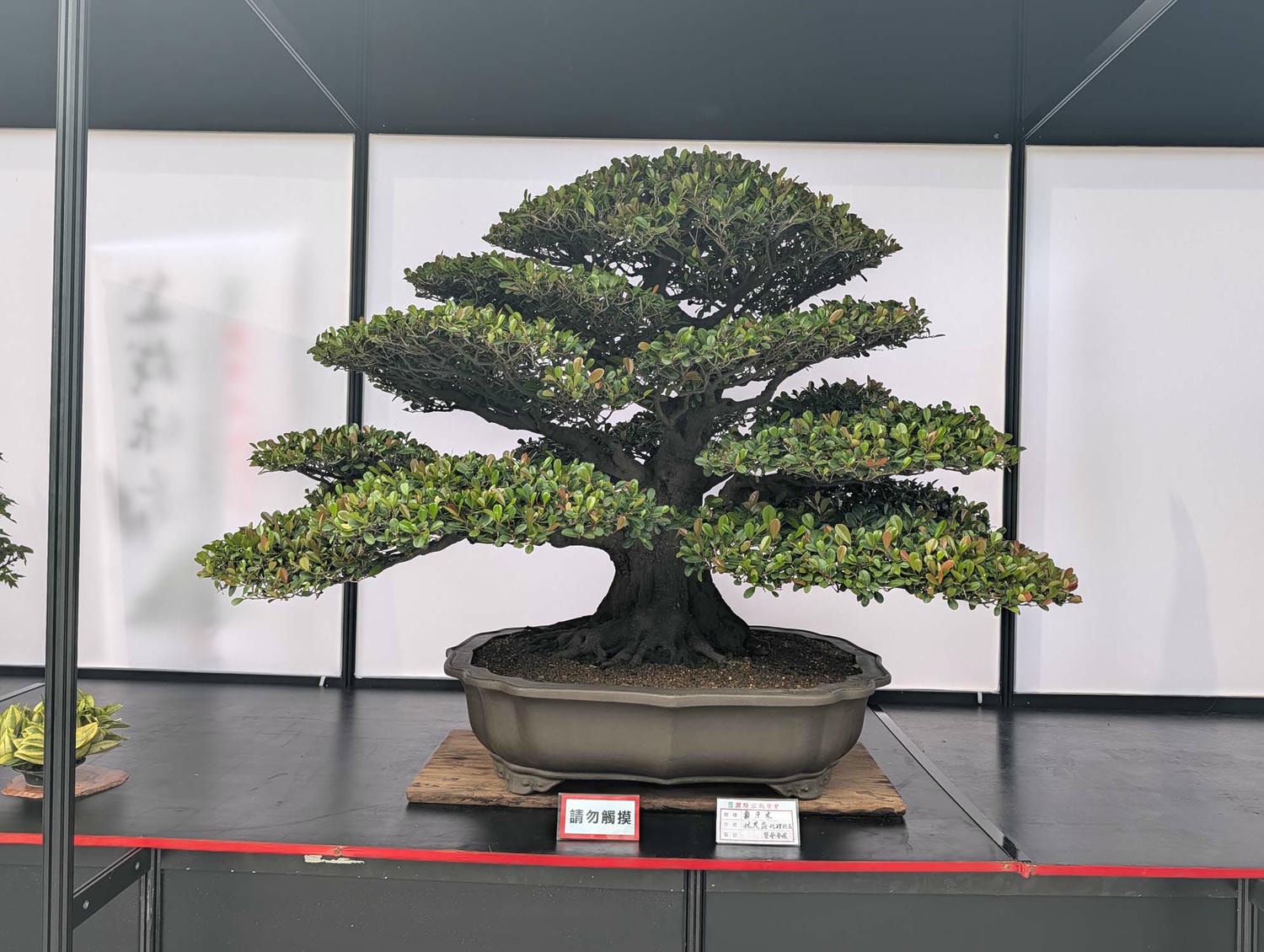 【2026宜蘭綠色博覽會】圖多開幕搶先看「格致寶藏」武荖坑登場 親子寓教於樂 交通門票共22展館 走到鐵腿全攻略台鐵蘇澳新站免費接駁