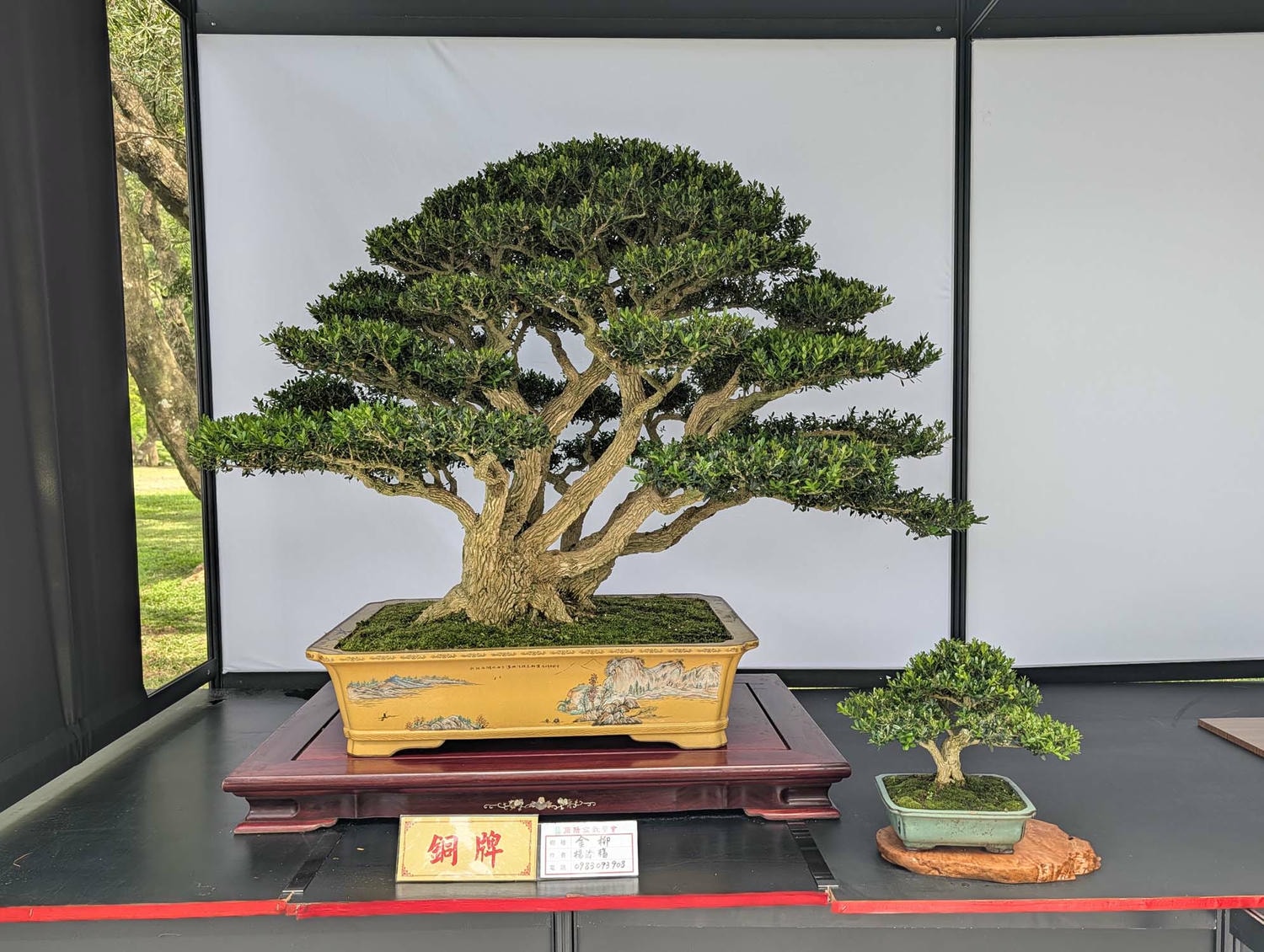 【2026宜蘭綠色博覽會】圖多開幕搶先看「格致寶藏」武荖坑登場 親子寓教於樂 交通門票共22展館 走到鐵腿全攻略台鐵蘇澳新站免費接駁