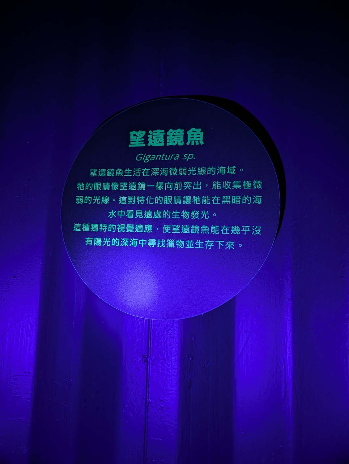 【2026宜蘭綠色博覽會】圖多開幕搶先看「格致寶藏」武荖坑登場 親子寓教於樂 交通門票共22展館 走到鐵腿全攻略台鐵蘇澳新站免費接駁