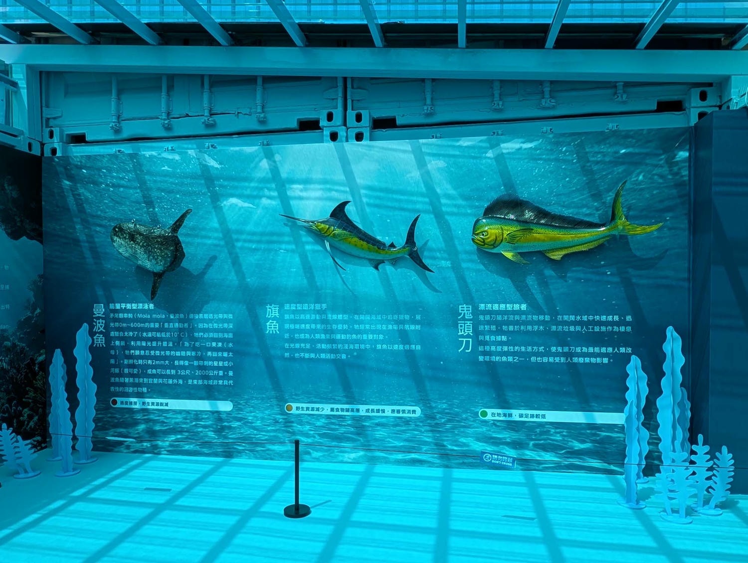 【2026宜蘭綠色博覽會】圖多開幕搶先看「格致寶藏」武荖坑登場 親子寓教於樂 交通門票共22展館 走到鐵腿全攻略台鐵蘇澳新站免費接駁