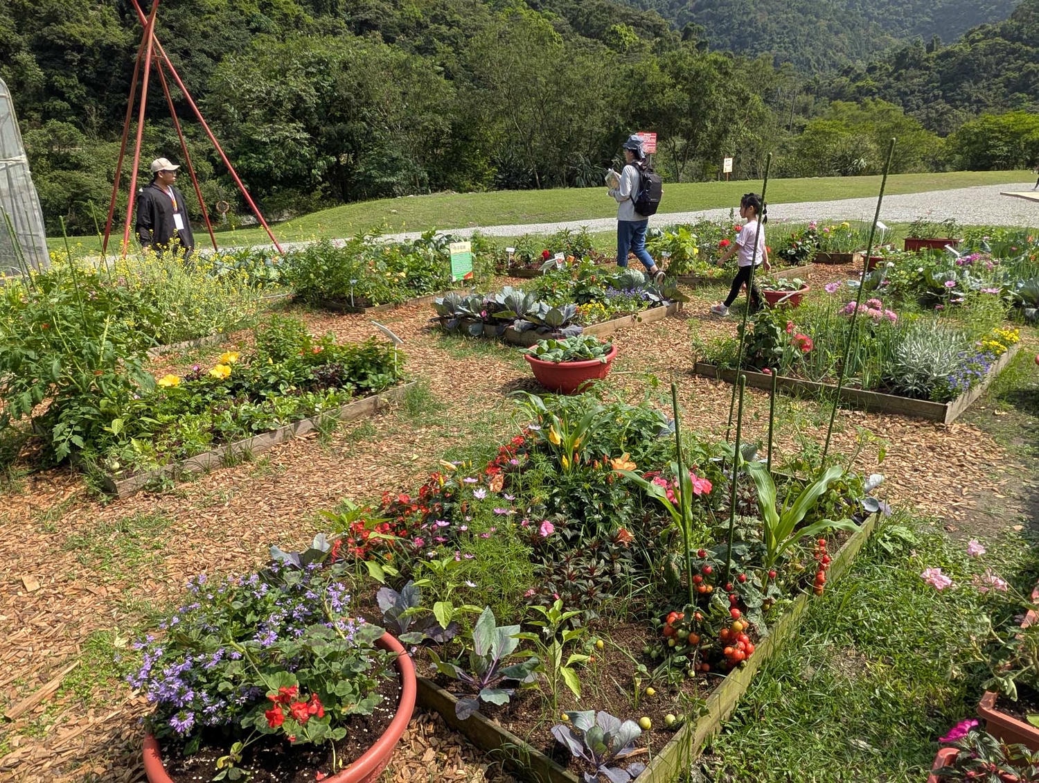 【2026宜蘭綠色博覽會】圖多開幕搶先看「格致寶藏」武荖坑登場 親子寓教於樂 交通門票共22展館 走到鐵腿全攻略台鐵蘇澳新站免費接駁