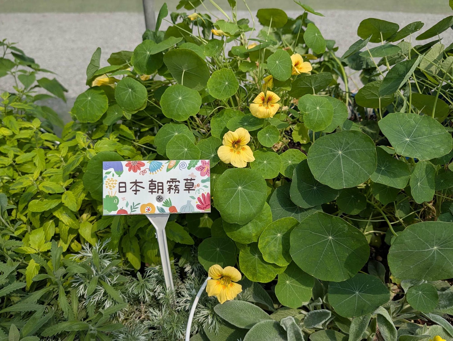 【2026宜蘭綠色博覽會】圖多開幕搶先看「格致寶藏」武荖坑登場 親子寓教於樂 交通門票共22展館 走到鐵腿全攻略台鐵蘇澳新站免費接駁