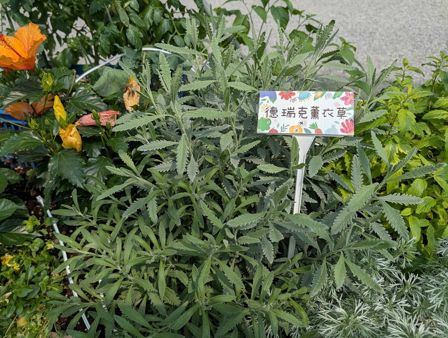 【2026宜蘭綠色博覽會】圖多開幕搶先看「格致寶藏」武荖坑登場 親子寓教於樂 交通門票共22展館 走到鐵腿全攻略台鐵蘇澳新站免費接駁
