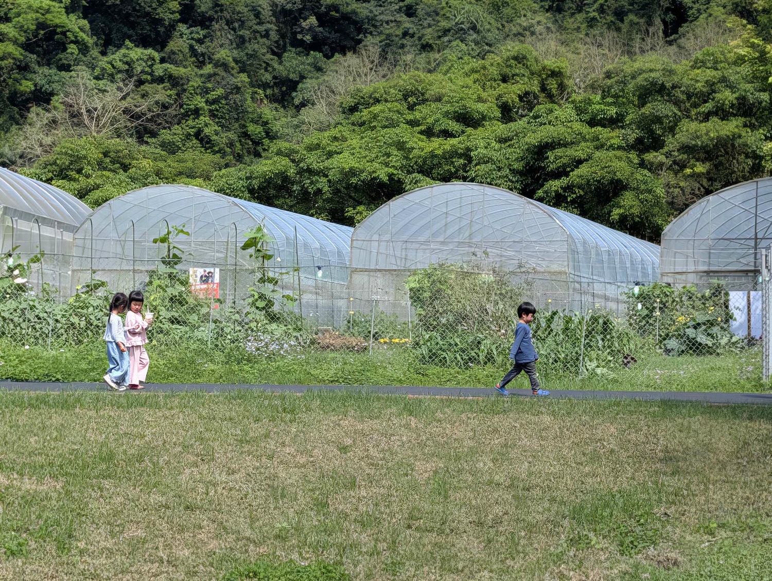 【2026宜蘭綠色博覽會】圖多開幕搶先看「格致寶藏」武荖坑登場 親子寓教於樂 交通門票共22展館 走到鐵腿全攻略台鐵蘇澳新站免費接駁
