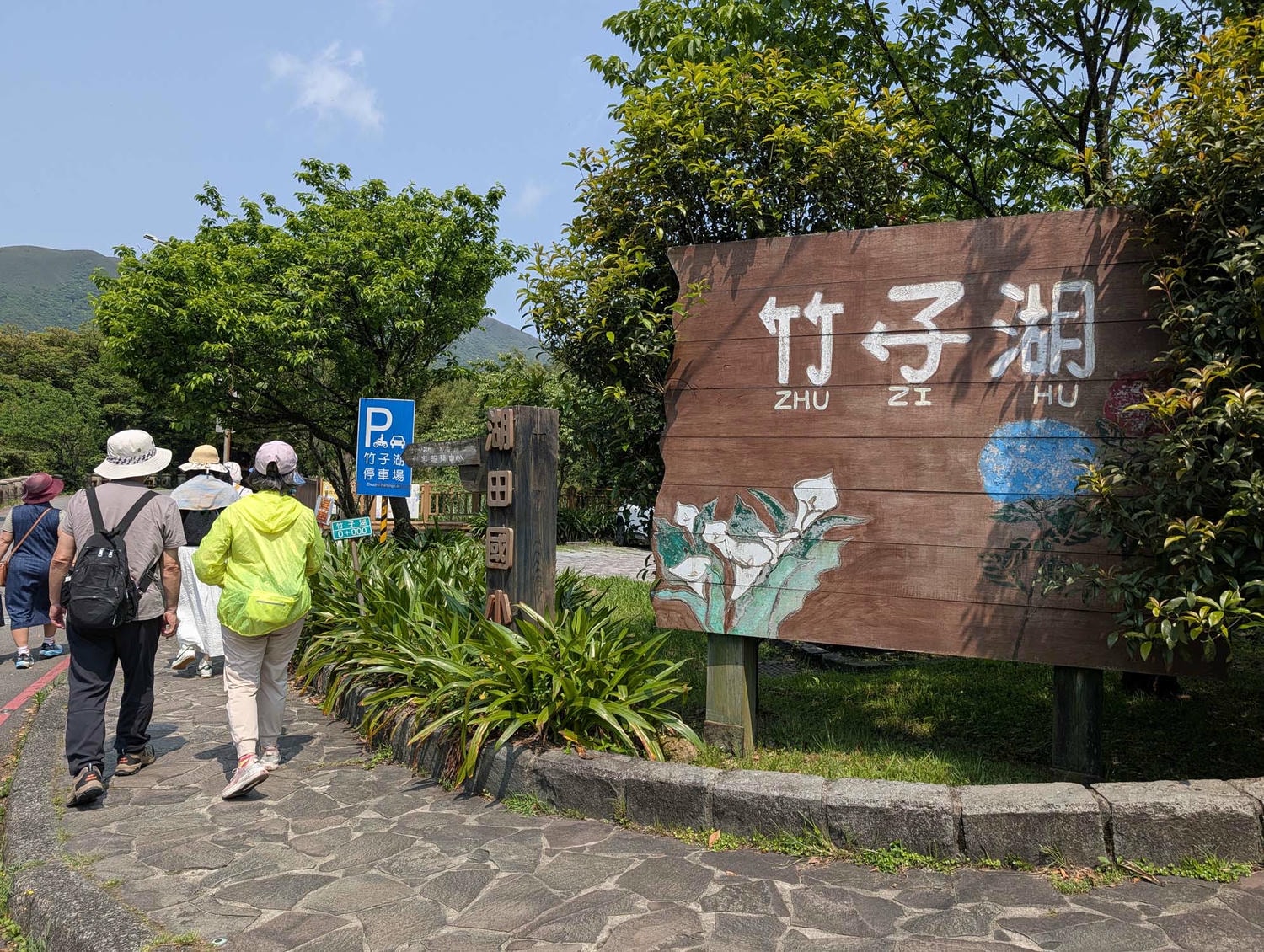 台北陽明山┃春の台北 絶景の白い海!陽明山竹子湖で癒やしの海芋(カラー)摘み体験 名陽匍農莊 台湾旅行 - 第3張圖 台北陽明山┃春の台北 絶景の白い海!陽明山竹子湖で癒やしの海芋(カラー)摘み体験 名陽匍農莊 台湾旅行