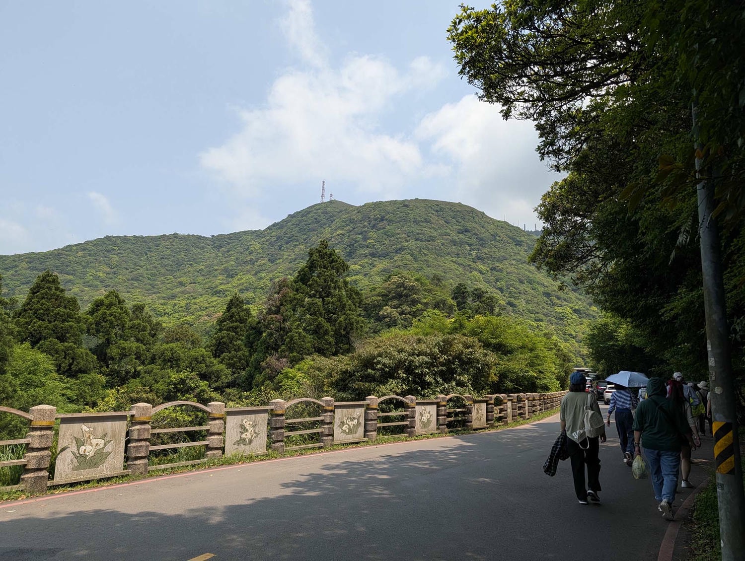 台北陽明山┃春の台北 絶景の白い海!陽明山竹子湖で癒やしの海芋(カラー)摘み体験 名陽匍農莊 台湾旅行 - 第4張圖 台北陽明山┃春の台北 絶景の白い海!陽明山竹子湖で癒やしの海芋(カラー)摘み体験 名陽匍農莊 台湾旅行