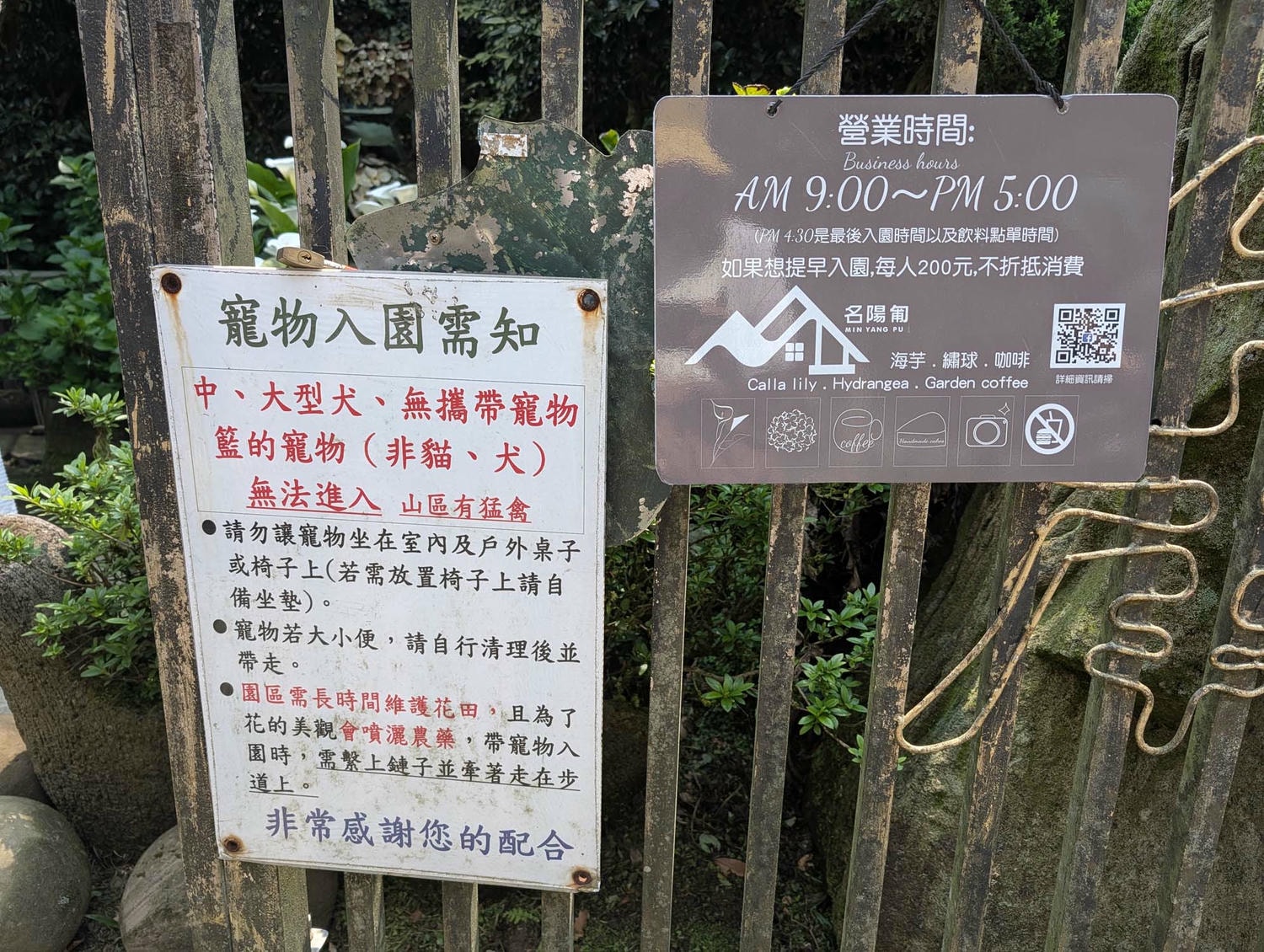 台北陽明山┃春の台北 絶景の白い海!陽明山竹子湖で癒やしの海芋(カラー)摘み体験 名陽匍農莊 台湾旅行 - 第7張圖 台北陽明山┃春の台北 絶景の白い海!陽明山竹子湖で癒やしの海芋(カラー)摘み体験 名陽匍農莊 台湾旅行