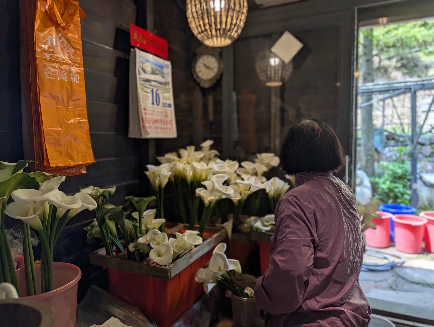 台北陽明山┃春の台北 絶景の白い海!陽明山竹子湖で癒やしの海芋(カラー)摘み体験 名陽匍農莊 台湾旅行 - 第28張圖 台北陽明山┃春の台北 絶景の白い海!陽明山竹子湖で癒やしの海芋(カラー)摘み体験 名陽匍農莊 台湾旅行