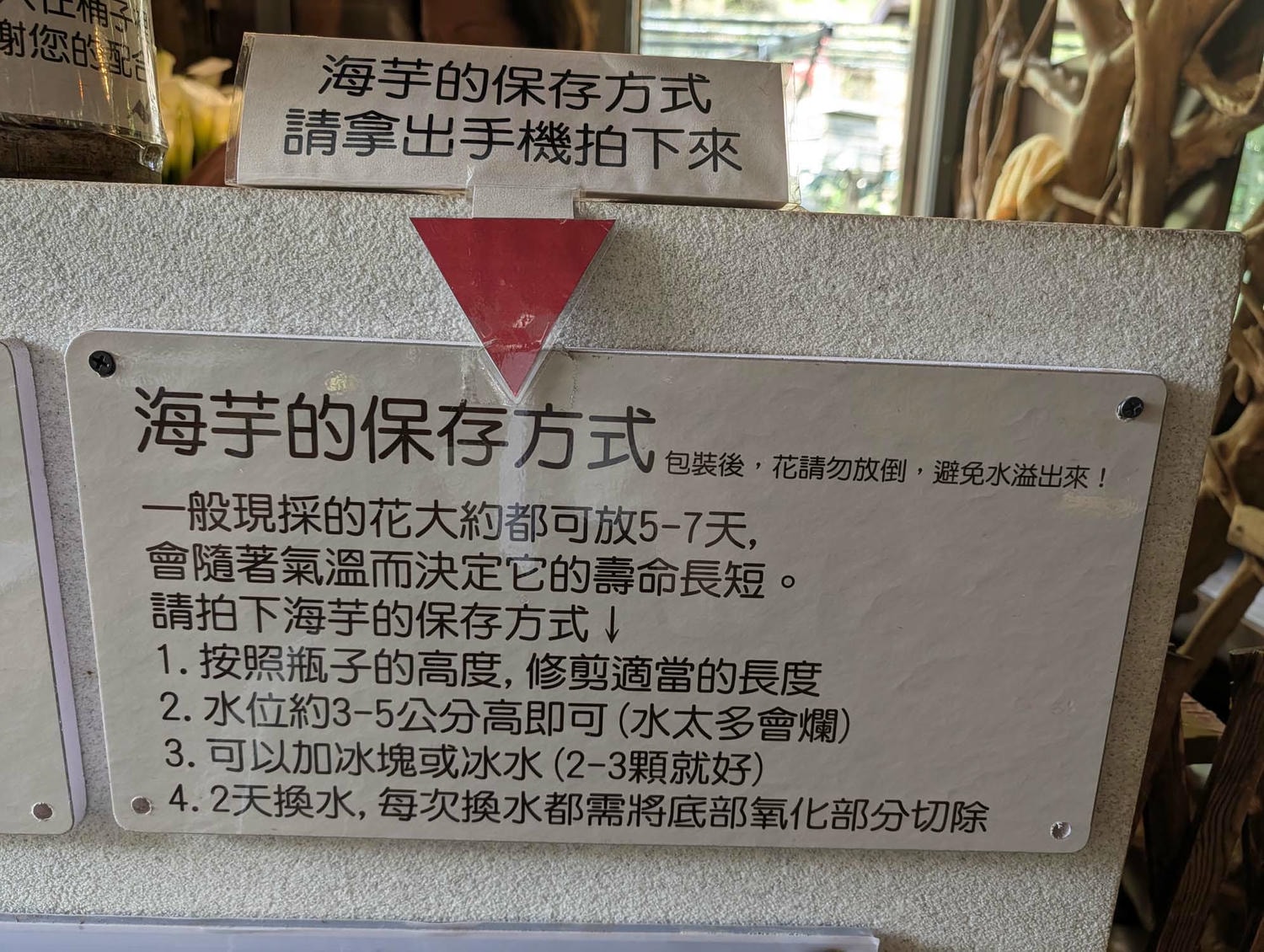 台北陽明山┃春の台北 絶景の白い海!陽明山竹子湖で癒やしの海芋(カラー)摘み体験 名陽匍農莊 台湾旅行 - 第29張圖 台北陽明山┃春の台北 絶景の白い海!陽明山竹子湖で癒やしの海芋(カラー)摘み体験 名陽匍農莊 台湾旅行
