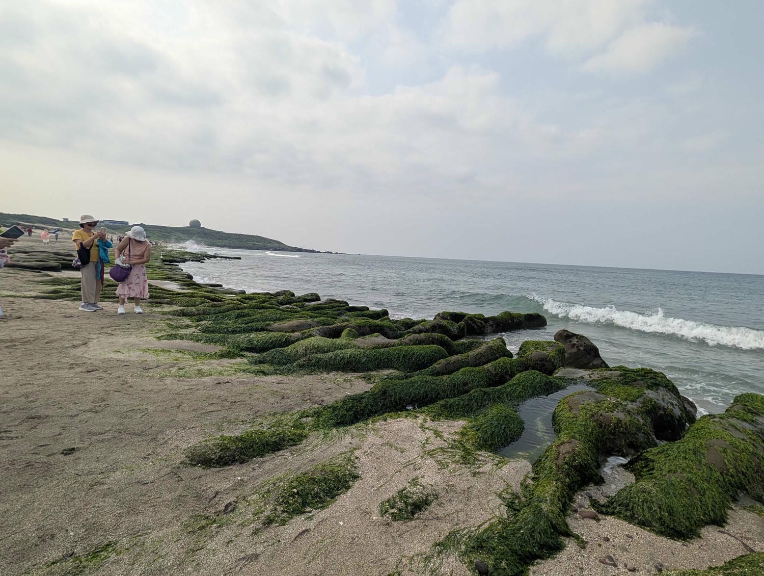 新北春季限定┃老梅綠石槽 芝蘭海上婚戒展望台 春限定の老梅緑石槽&芝蘭海上展望台 台湾旅行 - 第15張圖 新北春季限定┃老梅綠石槽 芝蘭海上婚戒展望台 春限定の老梅緑石槽&芝蘭海上展望台 台湾旅行