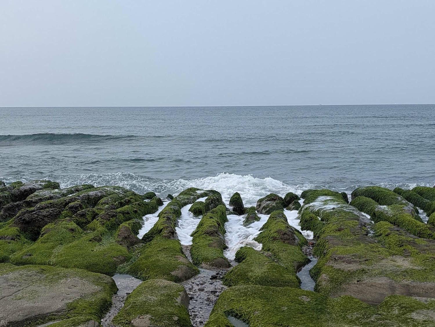 新北春季限定┃老梅綠石槽 芝蘭海上婚戒展望台 春限定の老梅緑石槽&芝蘭海上展望台 台湾旅行 - 第3張圖 新北春季限定┃老梅綠石槽 芝蘭海上婚戒展望台 春限定の老梅緑石槽&芝蘭海上展望台 台湾旅行