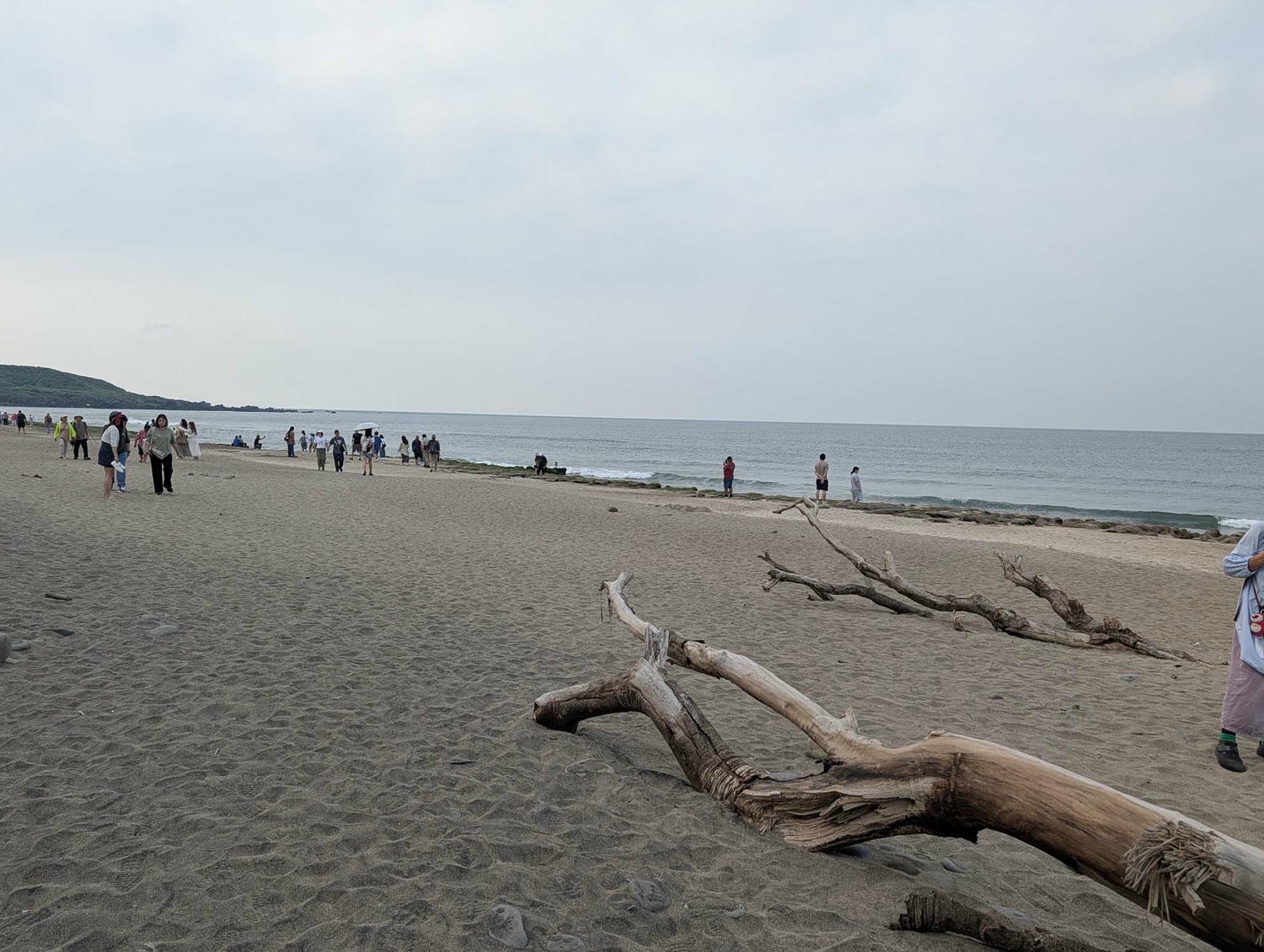 新北春季限定┃老梅綠石槽 芝蘭海上婚戒展望台 春限定の老梅緑石槽&芝蘭海上展望台 台湾旅行 - 第8張圖 新北春季限定┃老梅綠石槽 芝蘭海上婚戒展望台 春限定の老梅緑石槽&芝蘭海上展望台 台湾旅行