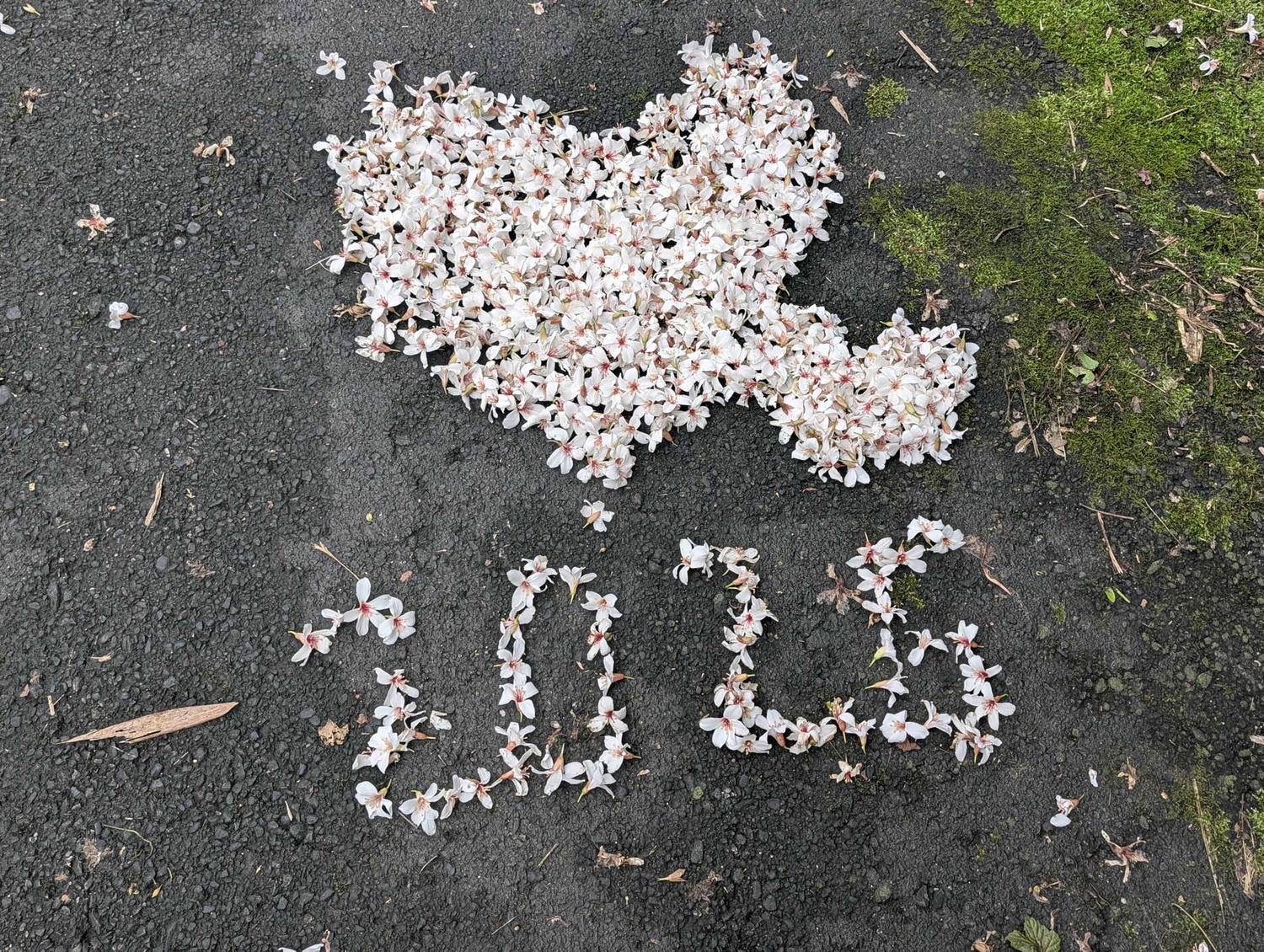 新北瑞芳桐花祭┃超值得!四腳亭砲台健行賞桐花雪 DIY搗麻糬 熱鬧園遊會遇見可愛發桐醬 - 第20張圖 新北瑞芳桐花祭┃超值得!四腳亭砲台健行賞桐花雪 DIY搗麻糬 熱鬧園遊會遇見可愛發桐醬