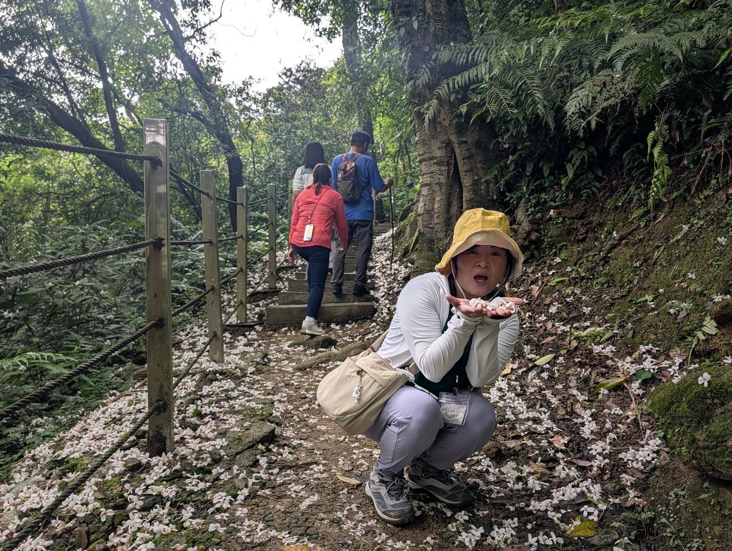 新北瑞芳桐花祭┃超值得!四腳亭砲台健行賞桐花雪 DIY搗麻糬 熱鬧園遊會遇見可愛發桐醬 - 第23張圖 新北瑞芳桐花祭┃超值得!四腳亭砲台健行賞桐花雪 DIY搗麻糬 熱鬧園遊會遇見可愛發桐醬