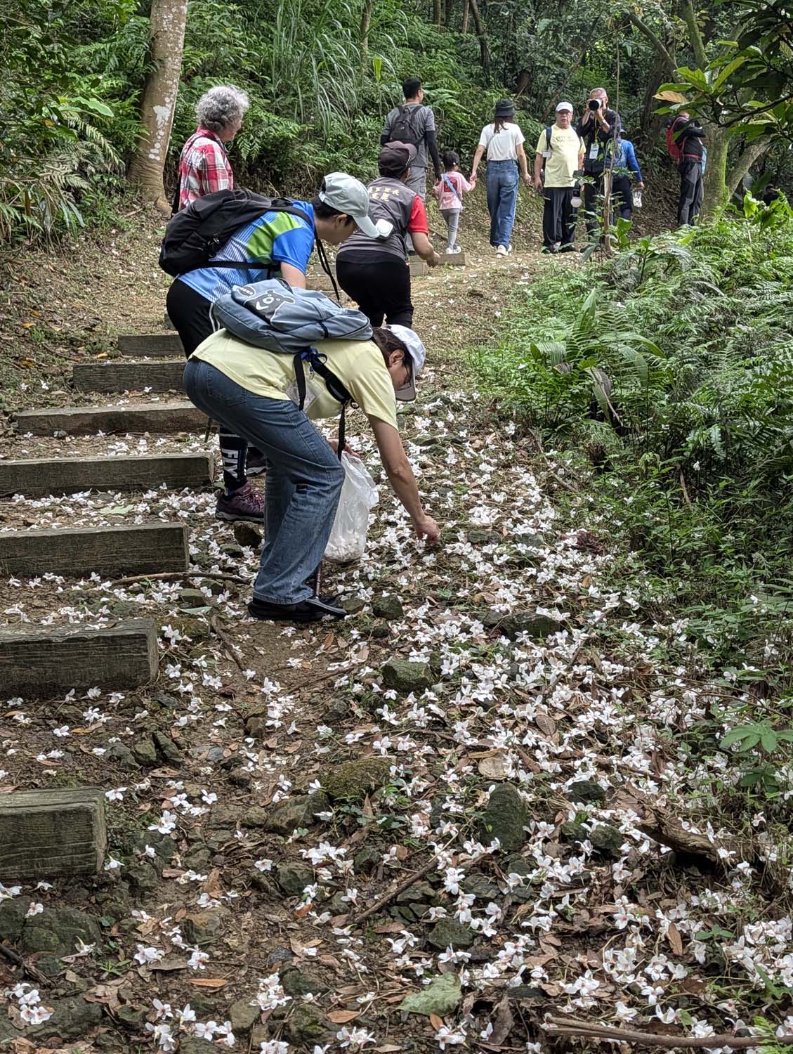 新北瑞芳桐花祭┃超值得!四腳亭砲台健行賞桐花雪 DIY搗麻糬 熱鬧園遊會遇見可愛發桐醬 - 第25張圖 新北瑞芳桐花祭┃超值得!四腳亭砲台健行賞桐花雪 DIY搗麻糬 熱鬧園遊會遇見可愛發桐醬