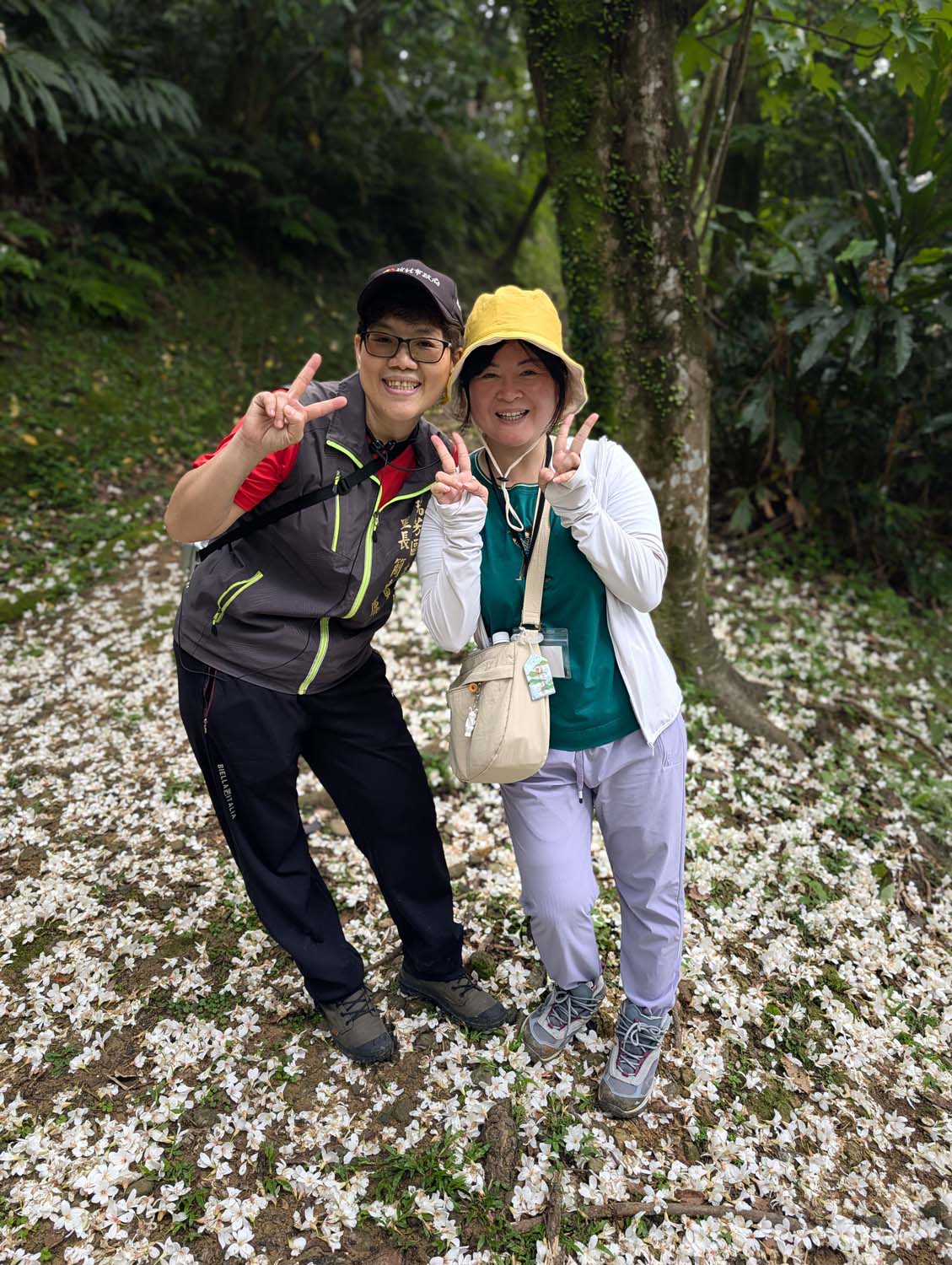 新北瑞芳桐花祭┃超值得!四腳亭砲台健行賞桐花雪 DIY搗麻糬 熱鬧園遊會遇見可愛發桐醬 - 第35張圖 新北瑞芳桐花祭┃超值得!四腳亭砲台健行賞桐花雪 DIY搗麻糬 熱鬧園遊會遇見可愛發桐醬