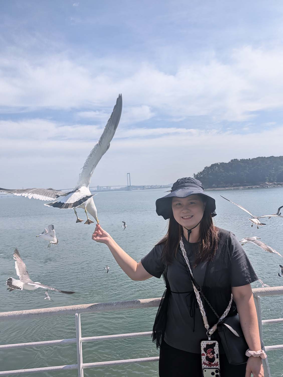 韓國跟團遊第二天┃首爾月尾島海鷗 松月洞童話村 弘大商圈 香港飯店0410炸醬麵 晚餐自理吃炸雞炒年糕