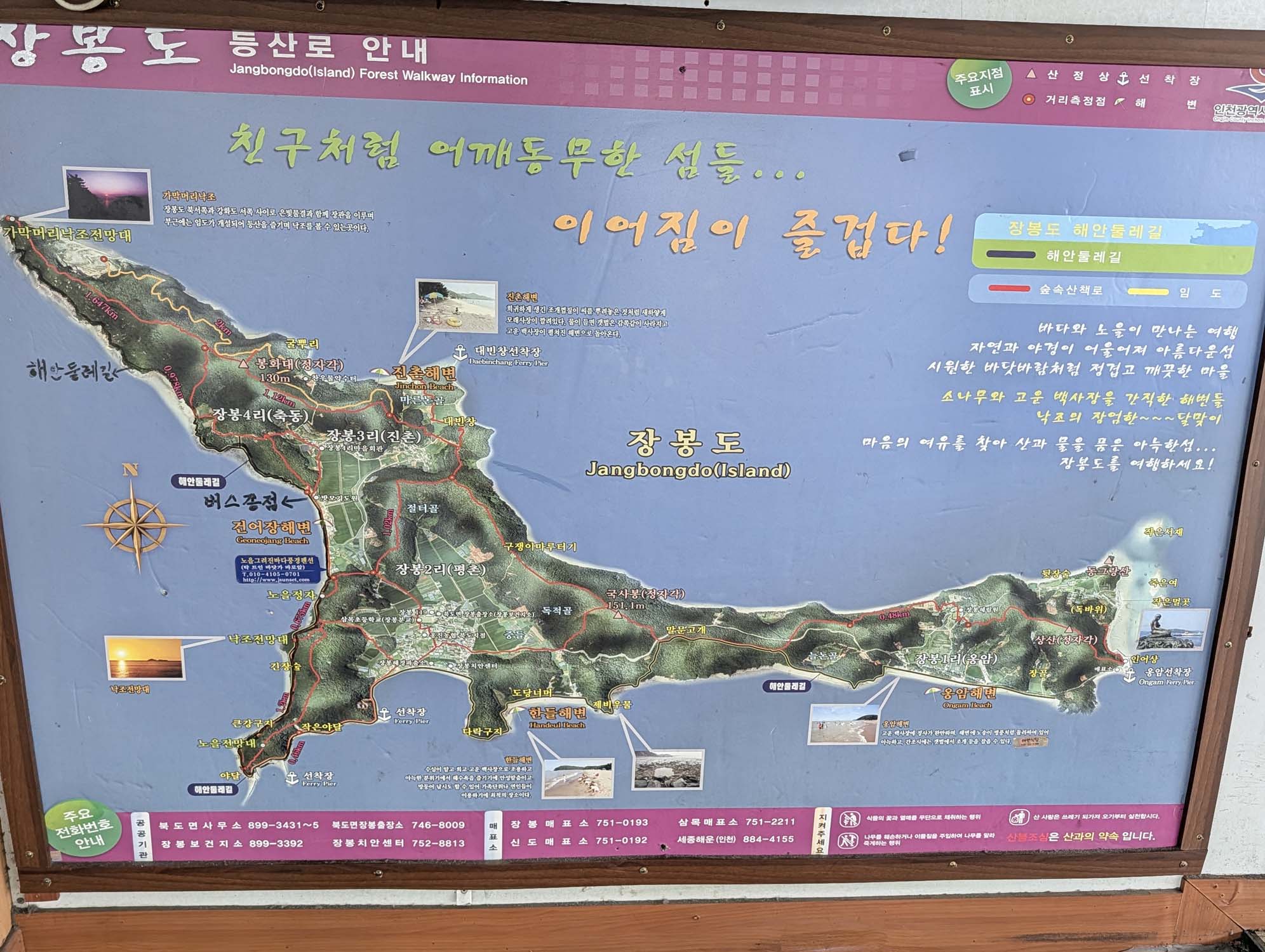 韓國跟團遊第二天┃首爾月尾島海鷗 松月洞童話村 弘大商圈 香港飯店0410炸醬麵 晚餐自理吃炸雞炒年糕